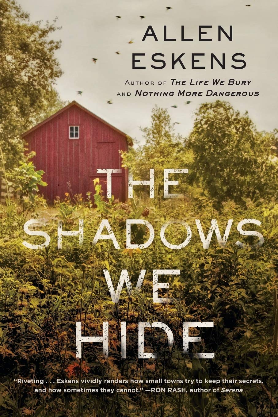 The Shadows We Hide: The Highly Acclaimed Sequel To The Life We Bury