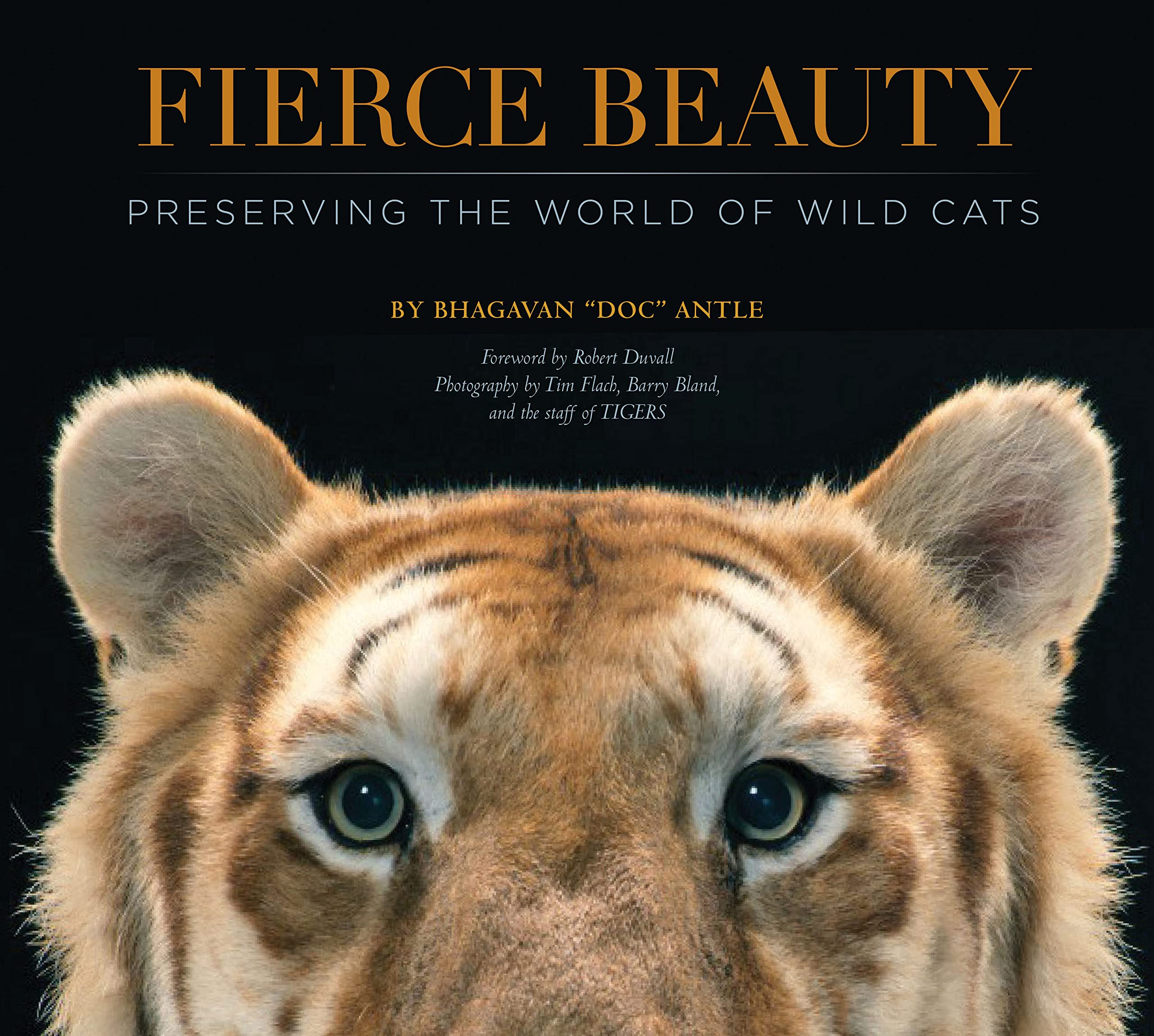 Fierce Beauty: Preserving the World of Wild Cats,Used