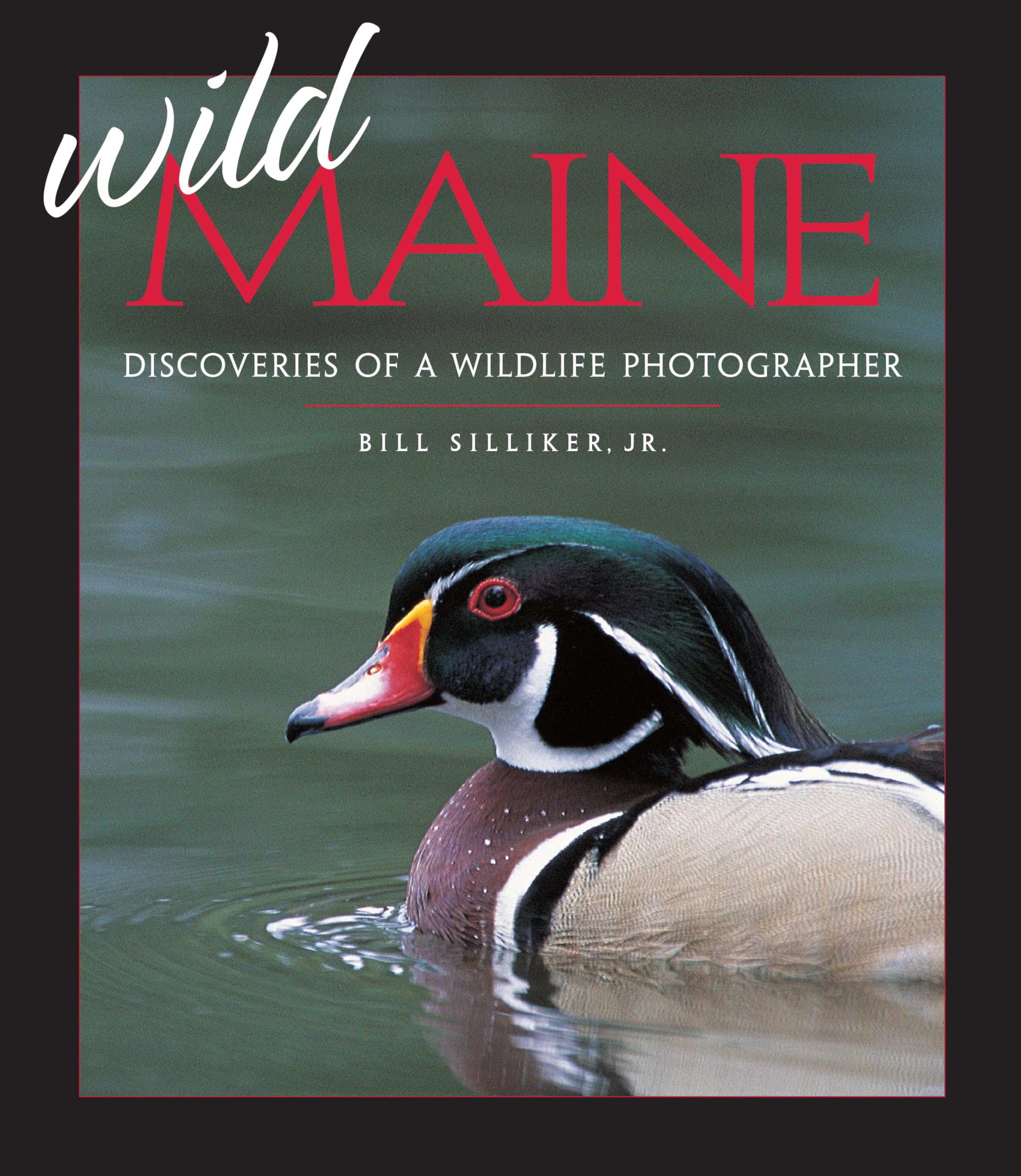Wild Maine: Discoveries of a Wildlife Photographer,Used
