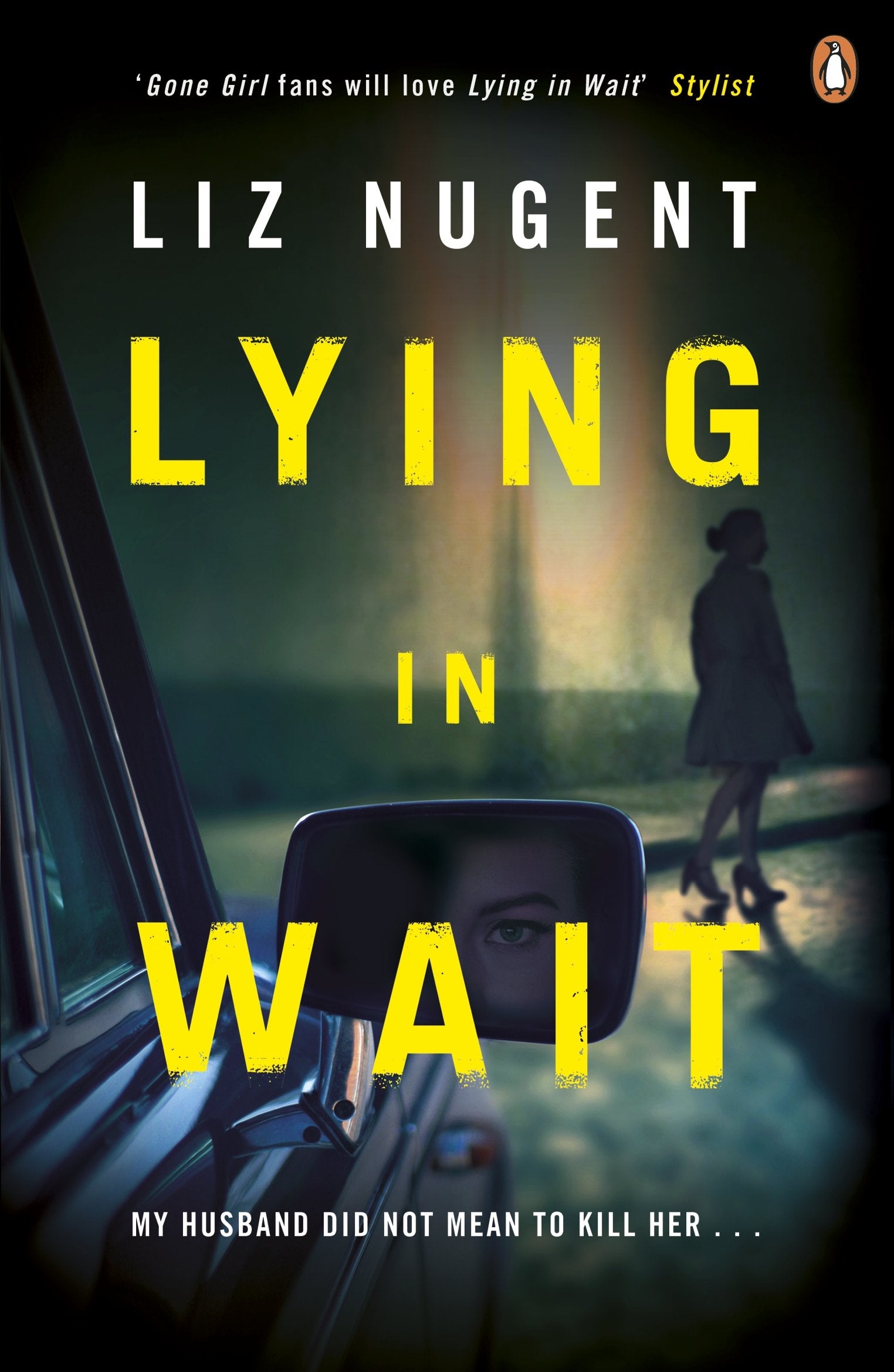 Lying in Wait,Used