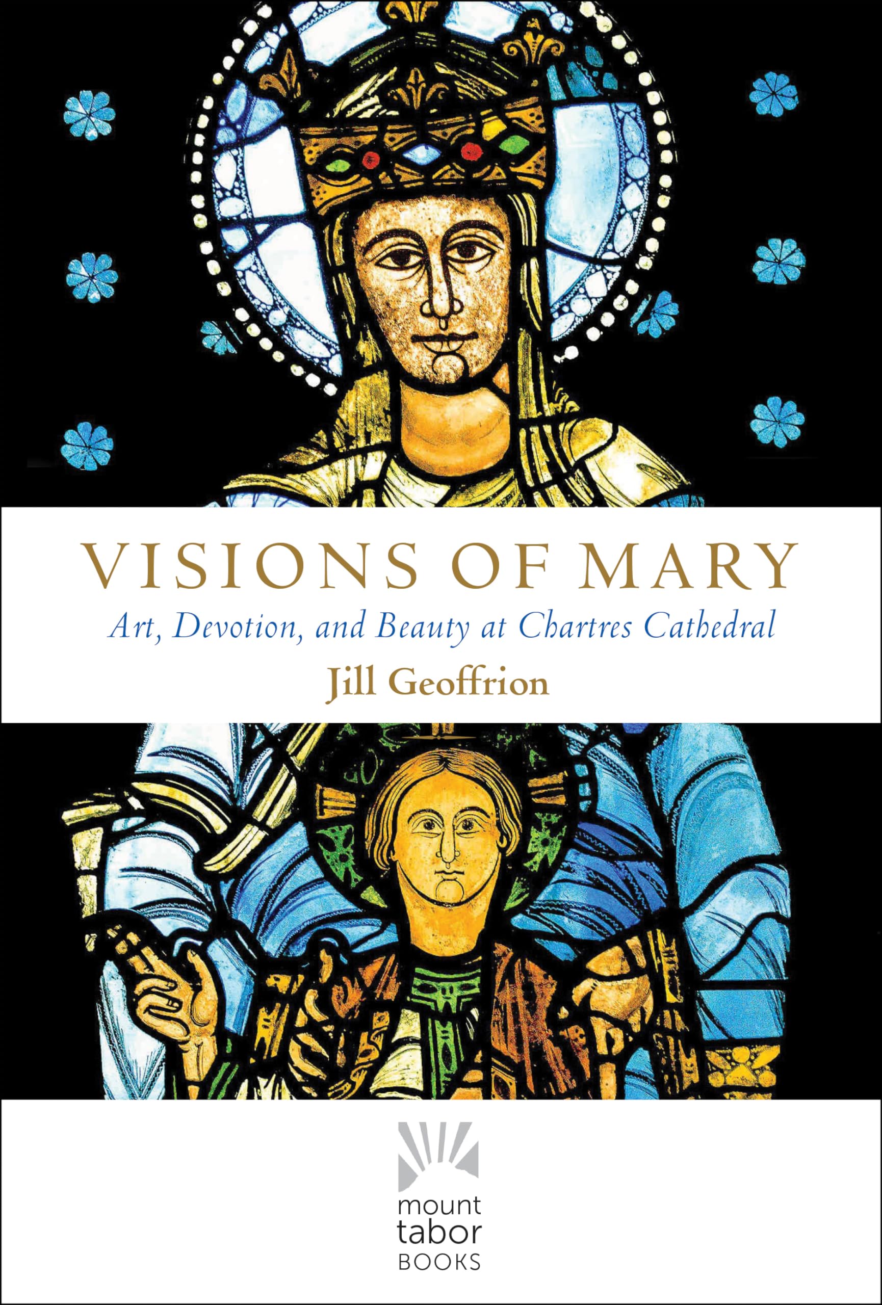 Visions of Mary: Art, Devotion, and Beauty at Chartres Cathedral (Mount Tabor Books),Used