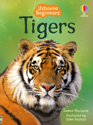 Tigers  Usborne Beginners,New
