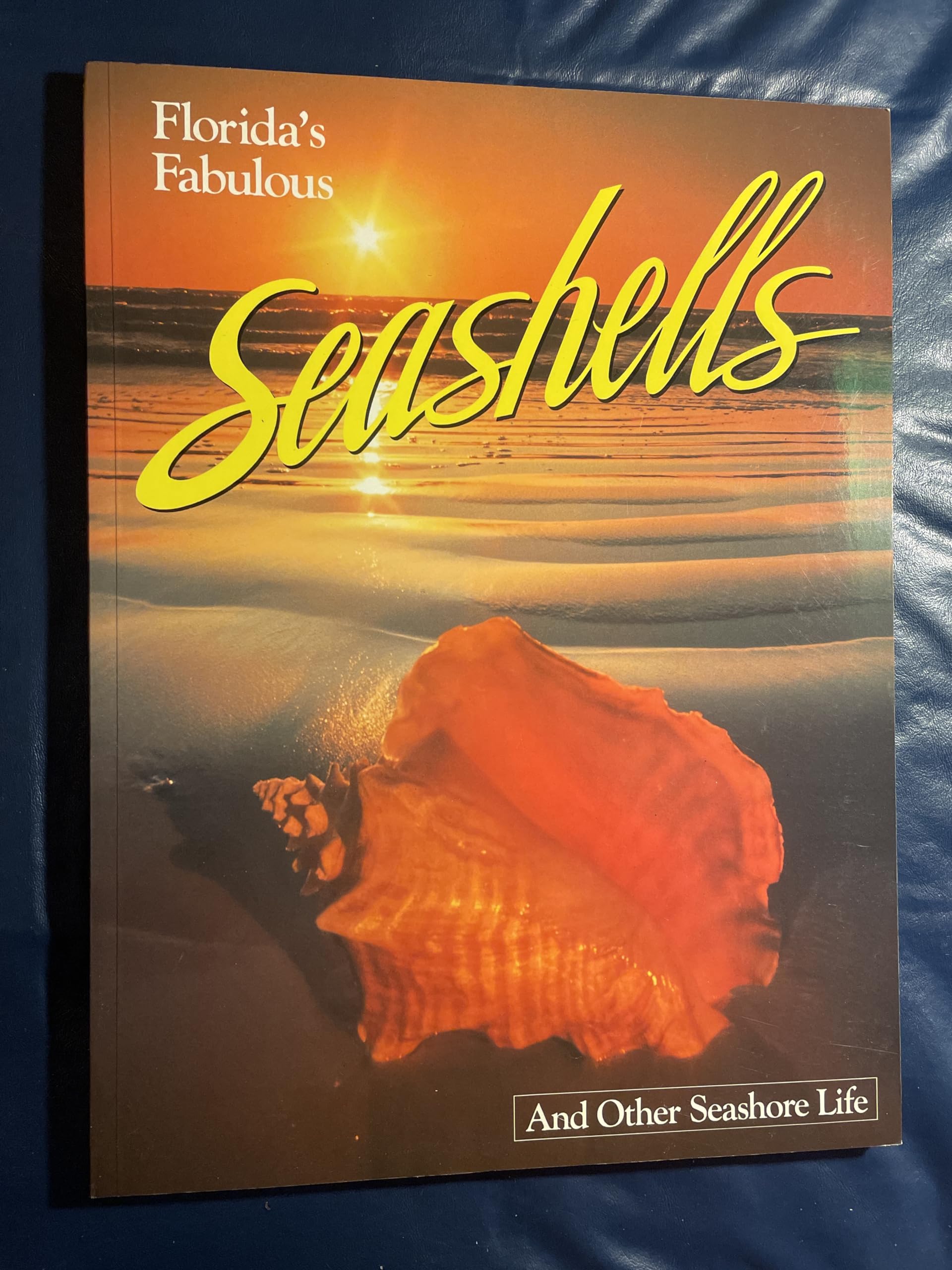 Florida's Fabulous Seashells: And Other Seashore Life,Used