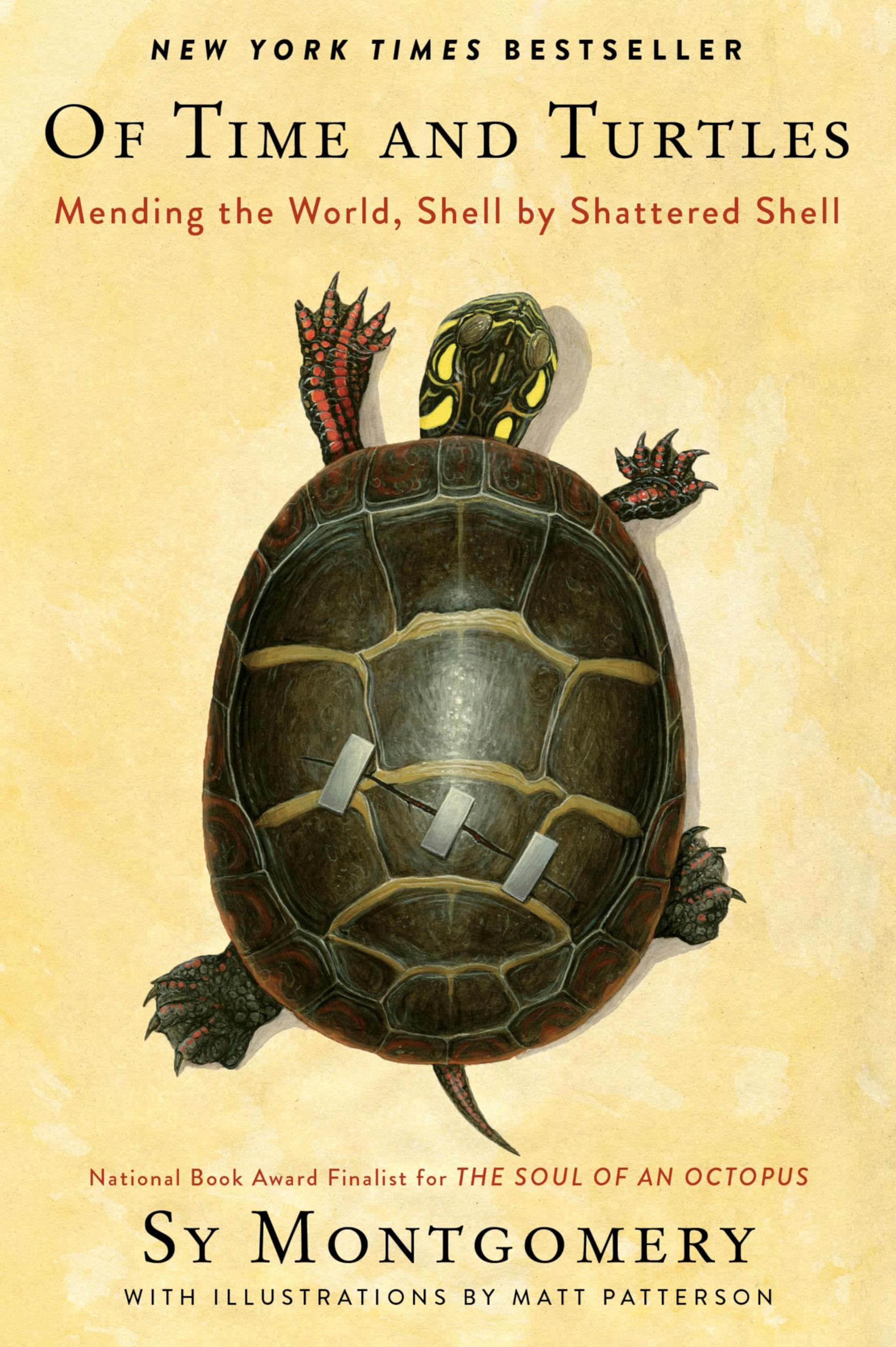 Of Time And Turtles: Mending The World, Shell By Shattered Shell,New