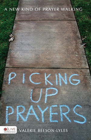 Picking Up Prayers: Includes Elive Audio Download,Used