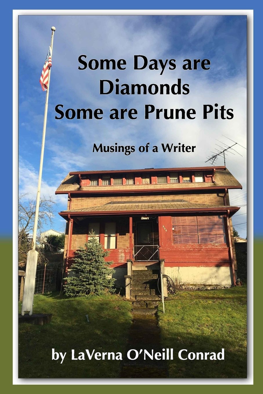 Some Days Are Diamonds Some Are Prune Pits: Musings Of A Writer,Used