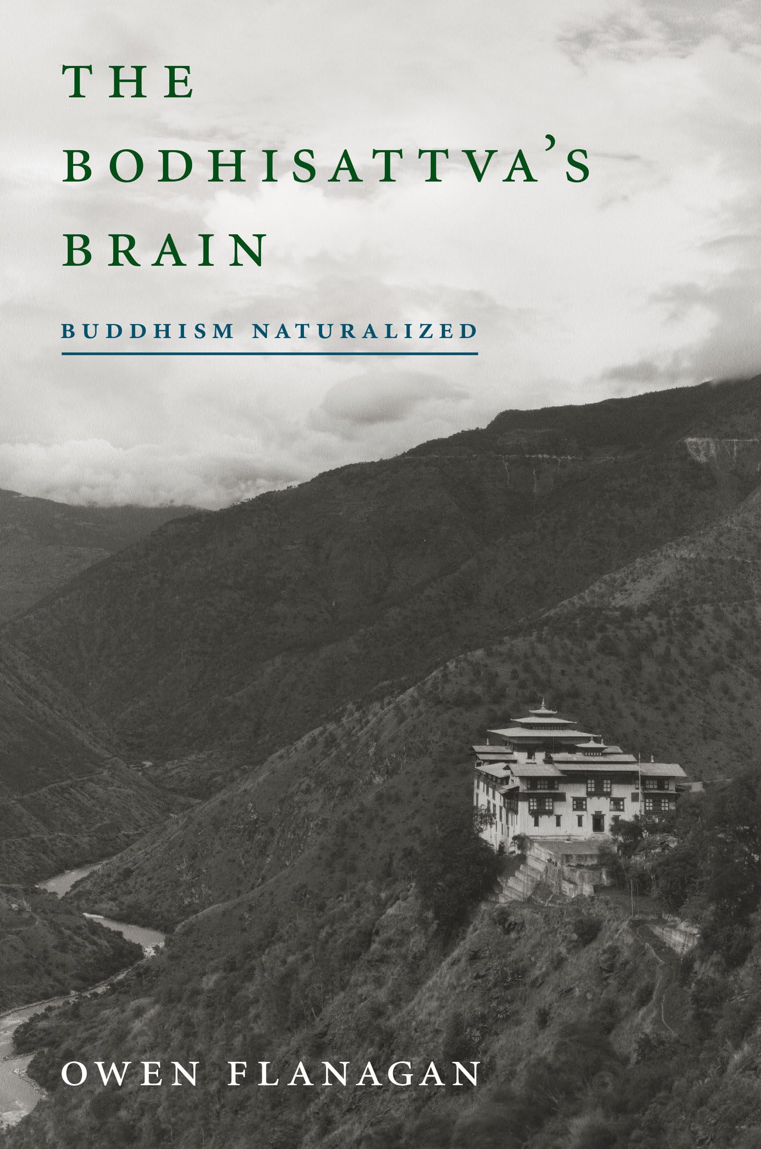 The Bodhisattva's Brain: Buddhism Naturalized (Mit Press),Used
