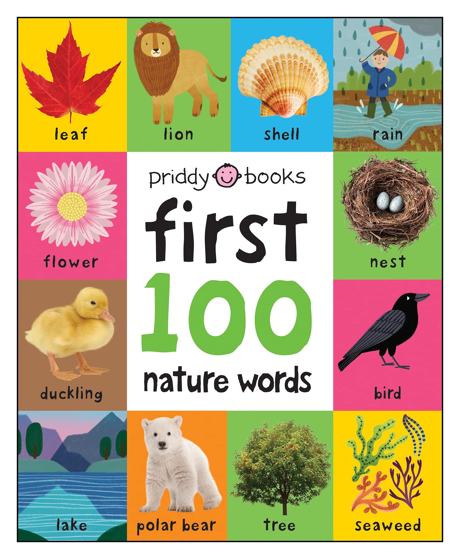 First 100 Padded: Nature Words,New