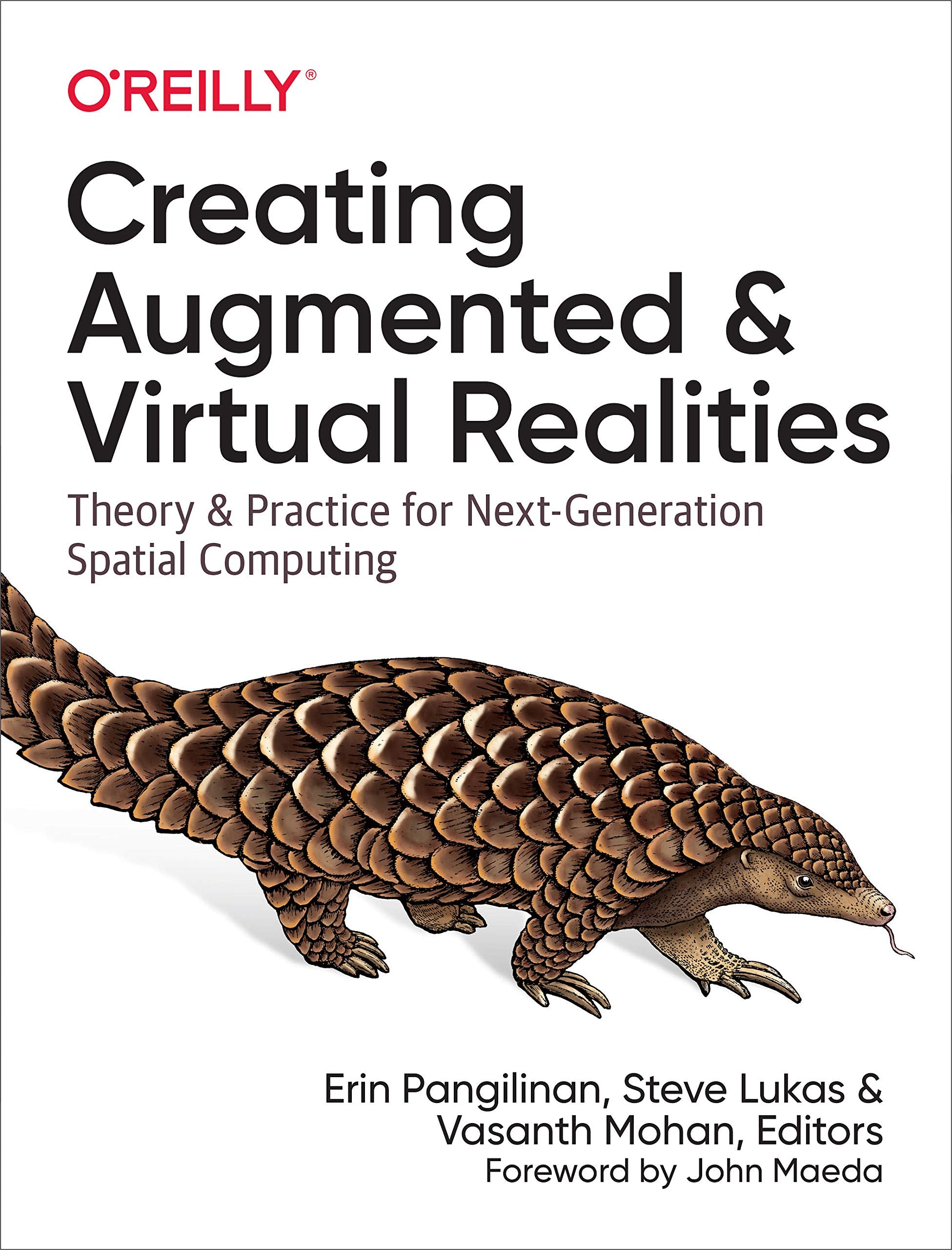 Creating Augmented and Virtual Realities: Theory and Practice for NextGeneration Spatial Computing,Used
