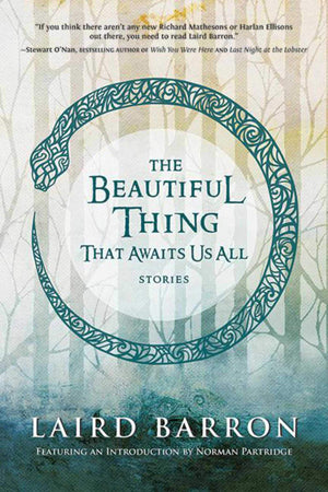 The Beautiful Thing That Awaits Us All: Stories,Used