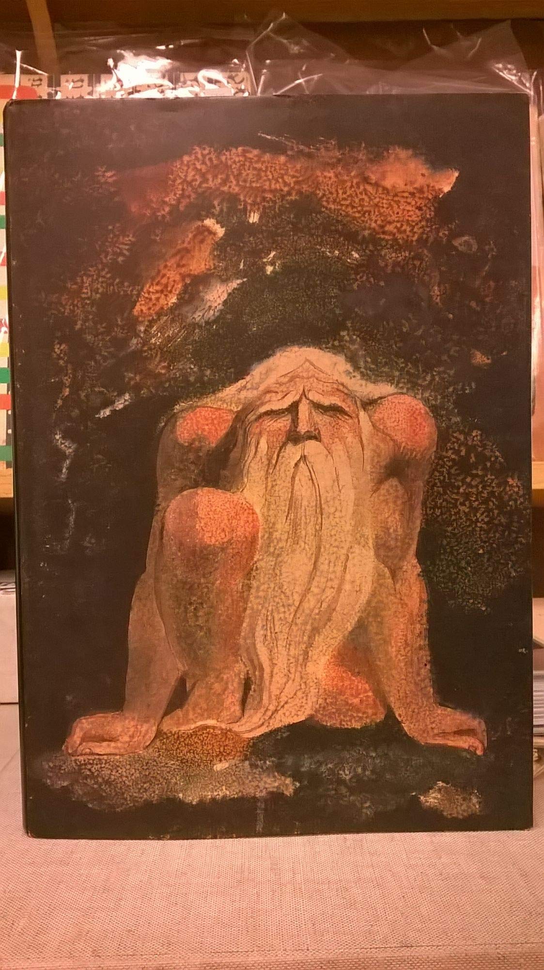 The Urizen Books (The Illuminated Books of William Blake, Volume 6) (Blake, 6),Used