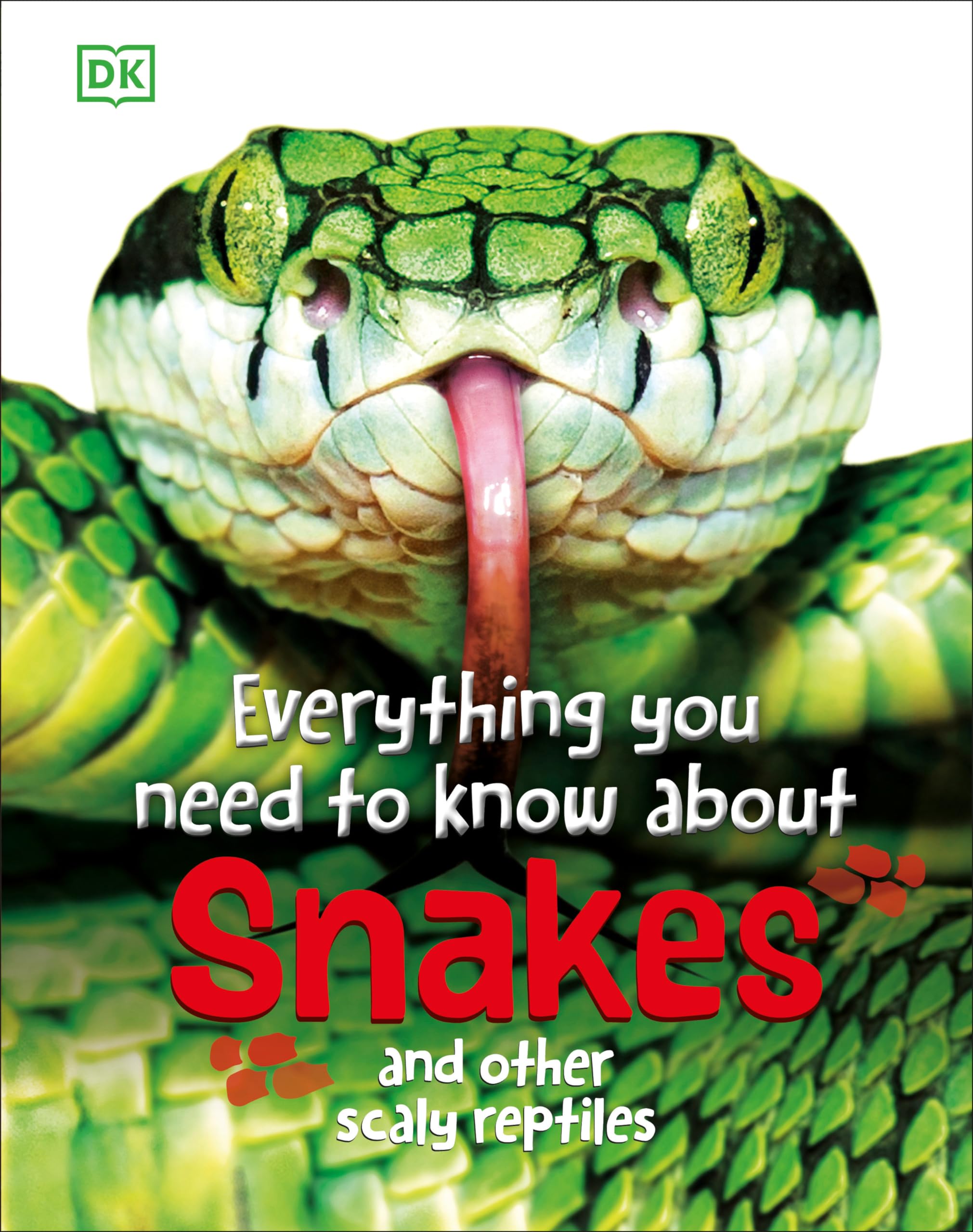 Everything You Need To Know About Snakes: And Other Scaly Reptiles,Used