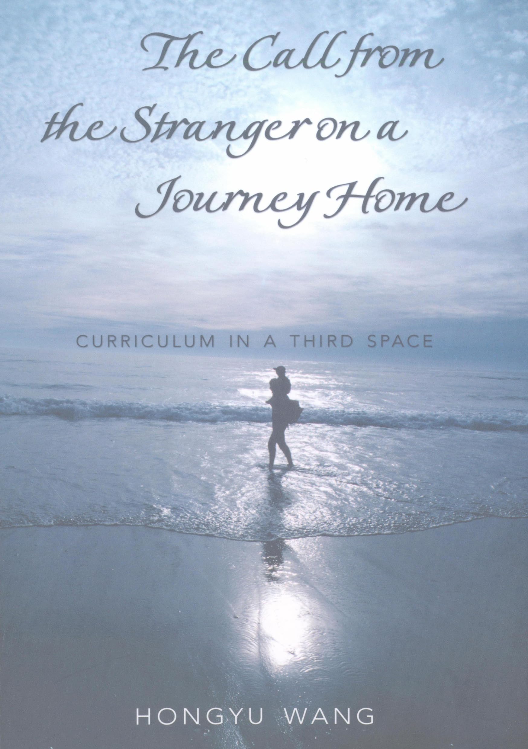 The Call from the Stranger on a Journey Home: Curriculum in a Third Space (Complicated Conversation),New