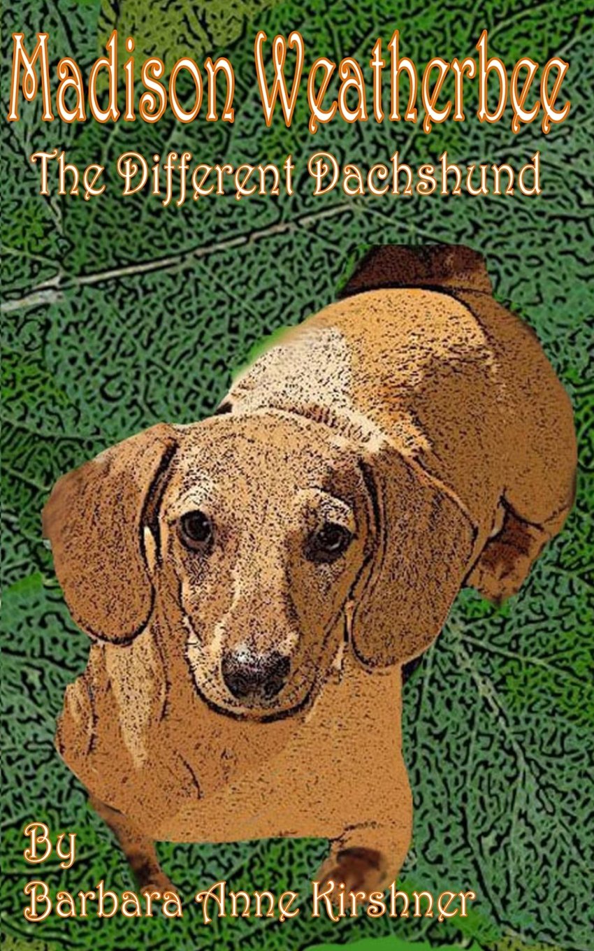 Madison Weatherbee The Different Dachshund,Used