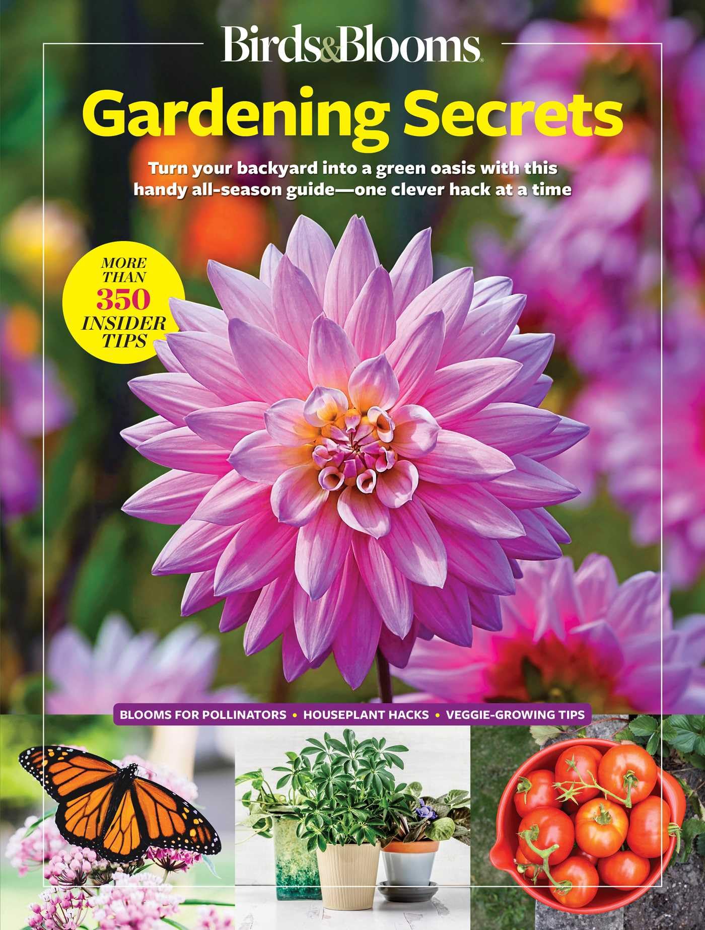 Birds & Blooms Gardening Secrets: AllSeason Guide With Expert Tips And Diy Ideas For Thriving Gardens (Birds & Blooms Guide)