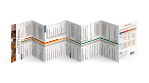 Chronology of Israel's Kings and Prophets: Events In Samuel, Kings & Chronicles,Used