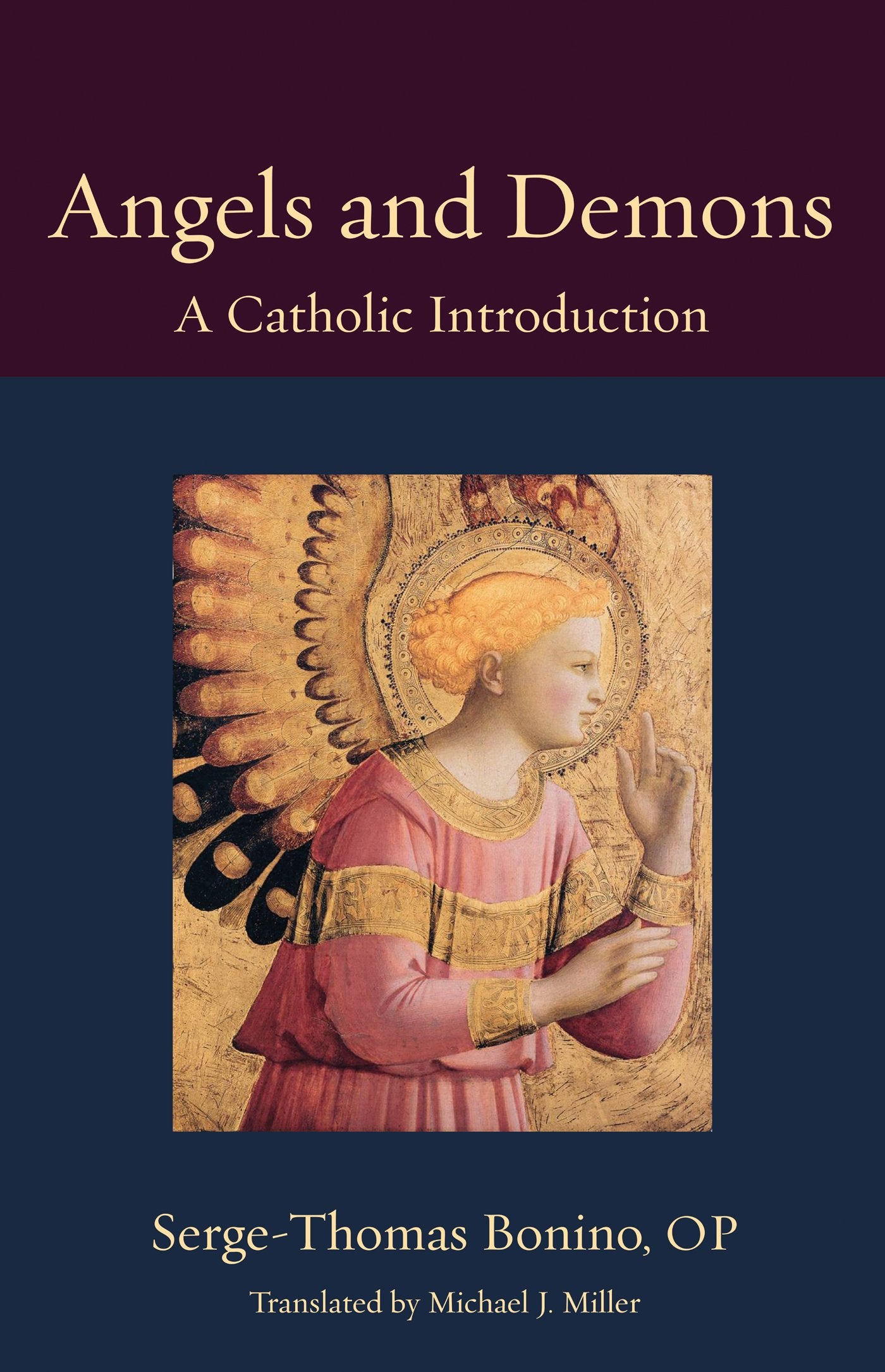 Angels And Demons: A Catholic Introduction (Thomistic Ressourcement),Used