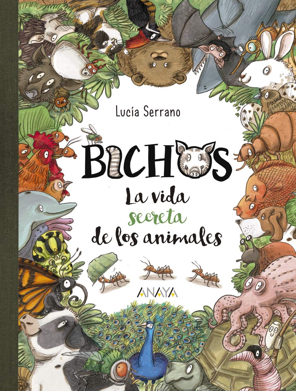 Bichos: La vida secreta de los animales,Used