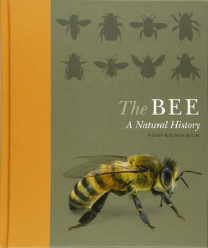 The Bee: A Natural History,Used
