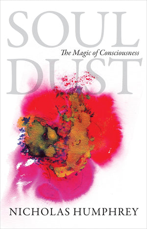 Soul Dust: The Magic of Consciousness,Used