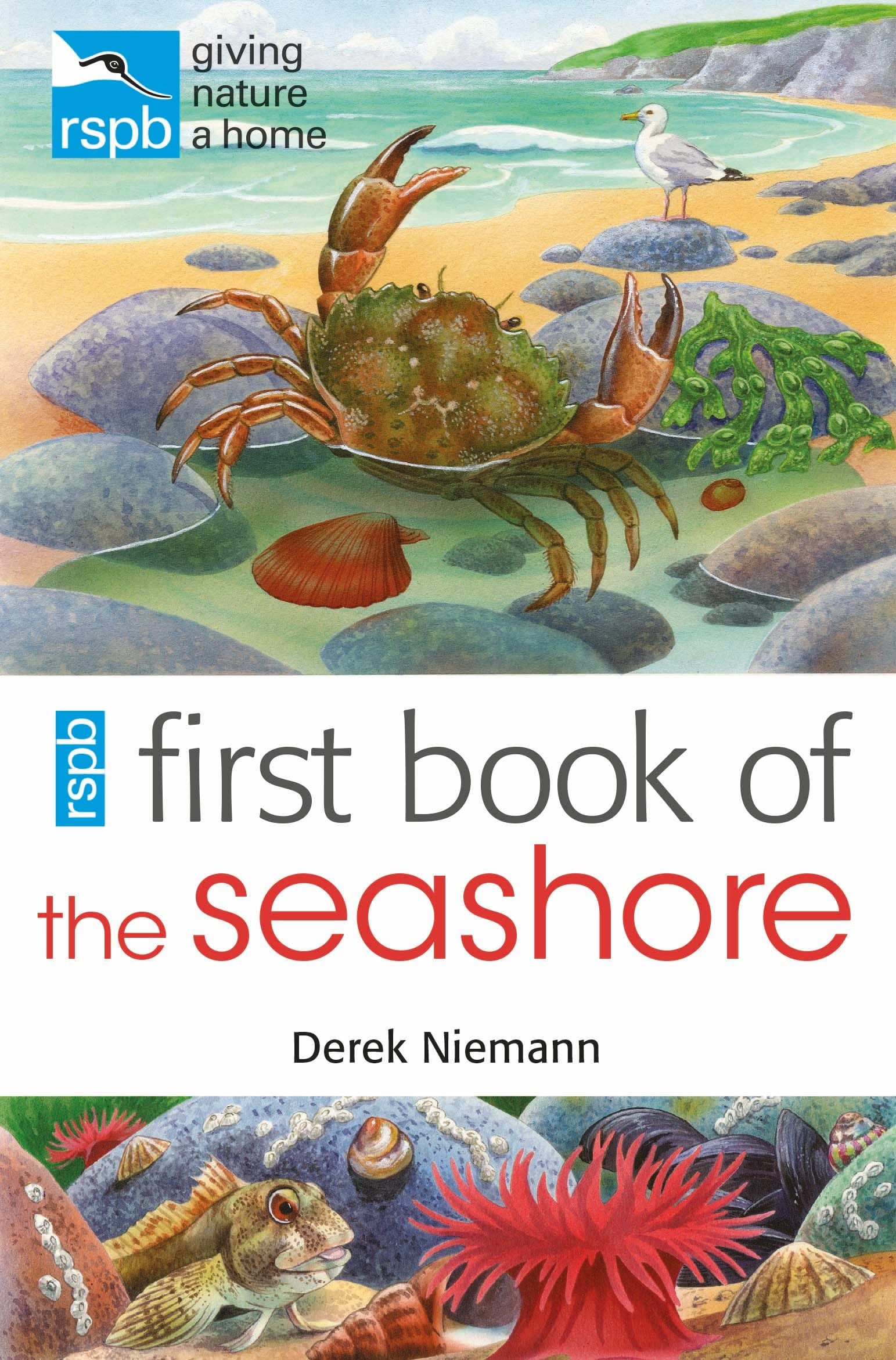 Rspb First Book Of The Seashore,Used