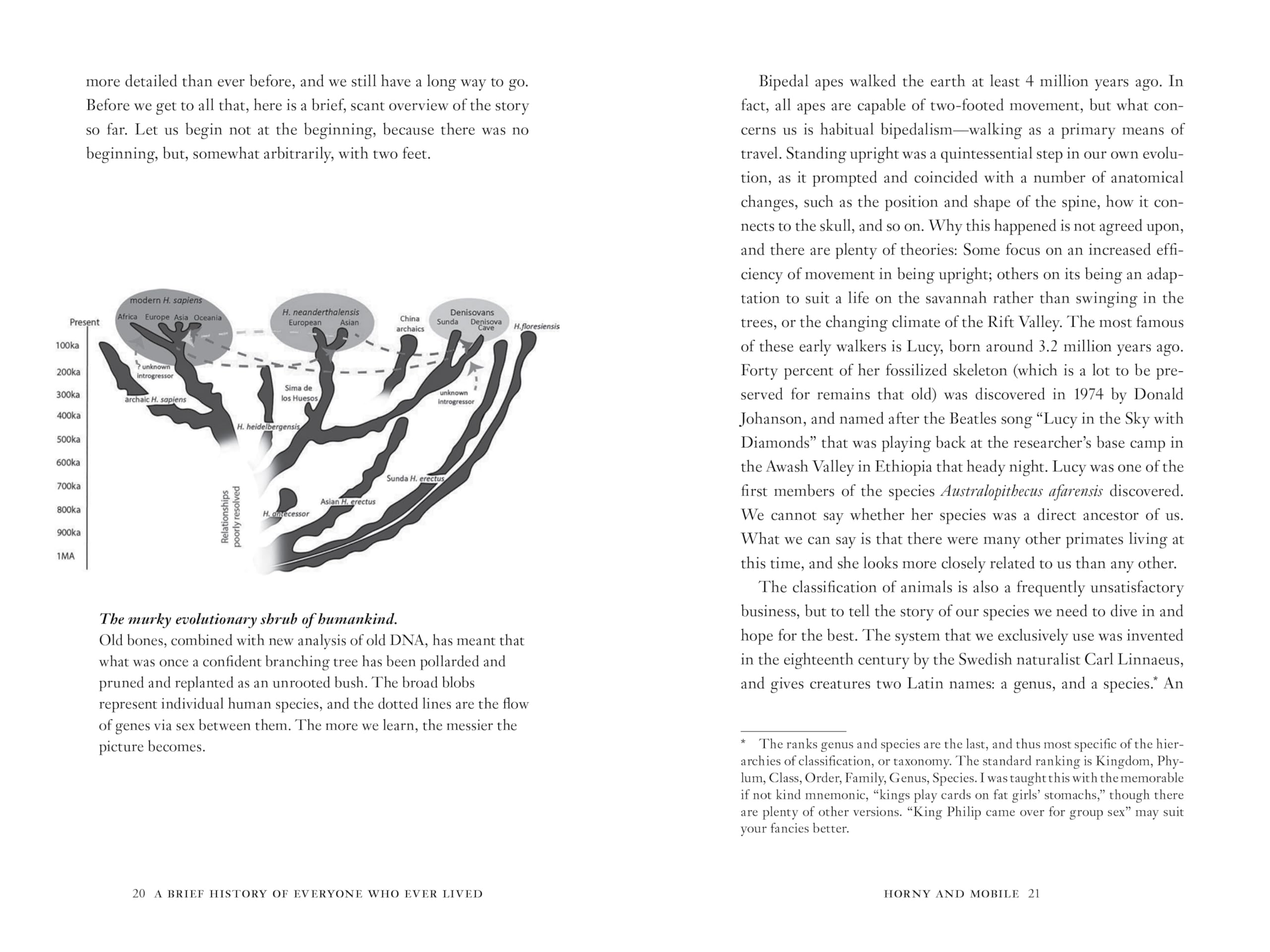 A Brief History of Everyone Who Ever Lived: The Human Story Retold Through Our Genes,New