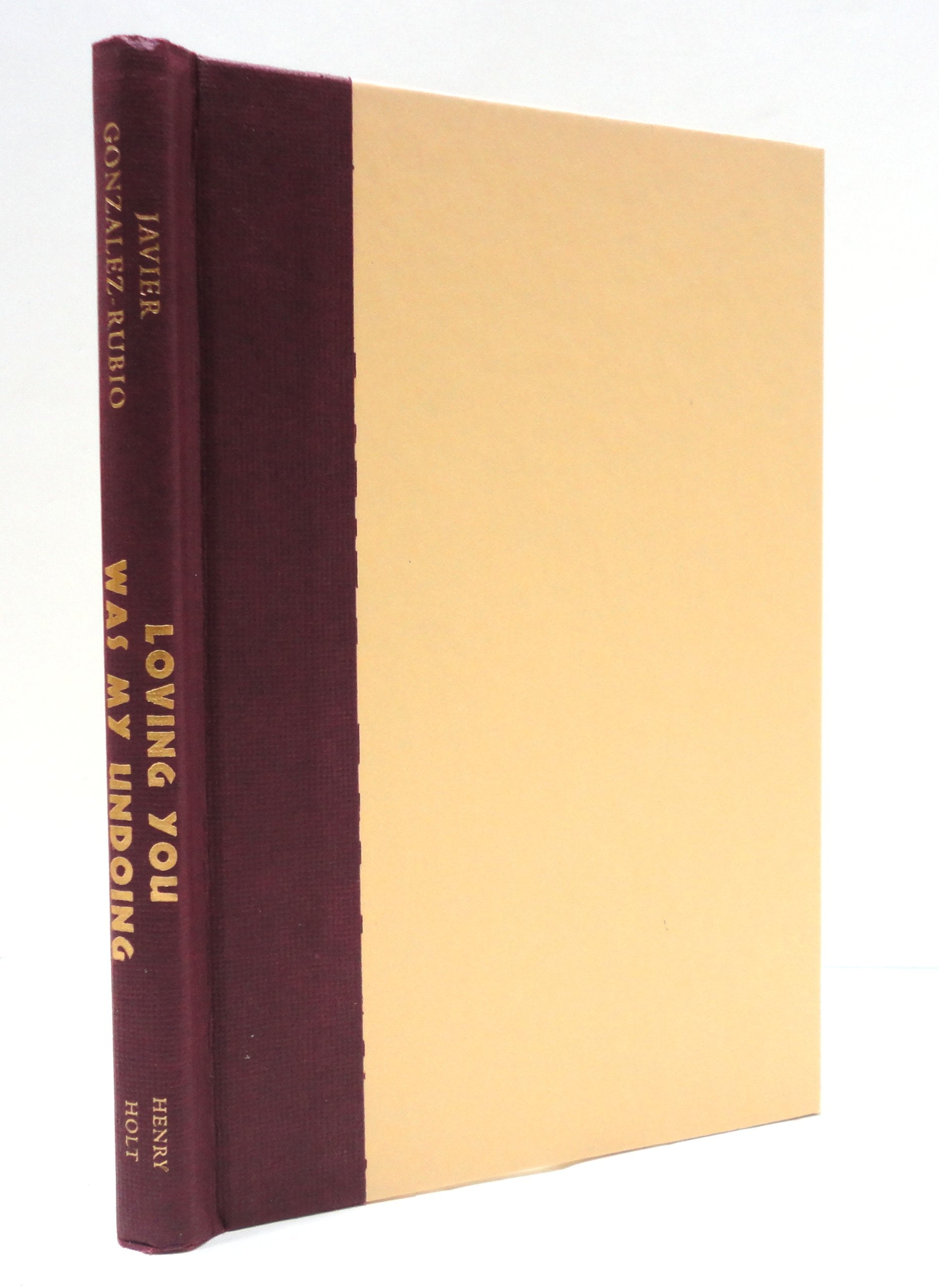 Loving You Was My Undoing: A Novel,Used