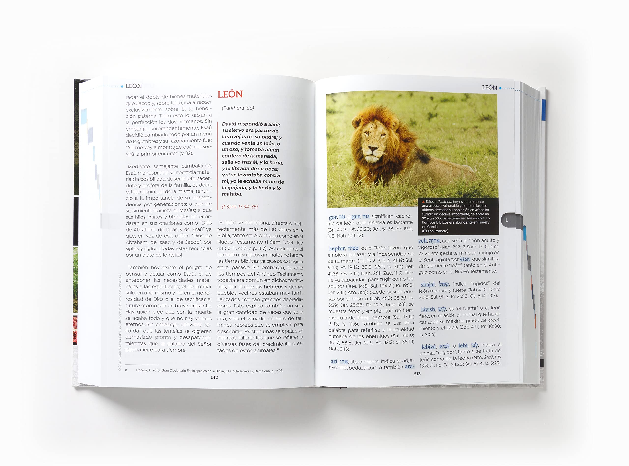 Diccionario Enciclopdico de Animales y Plantas de la Biblia (Spanish Edition),New