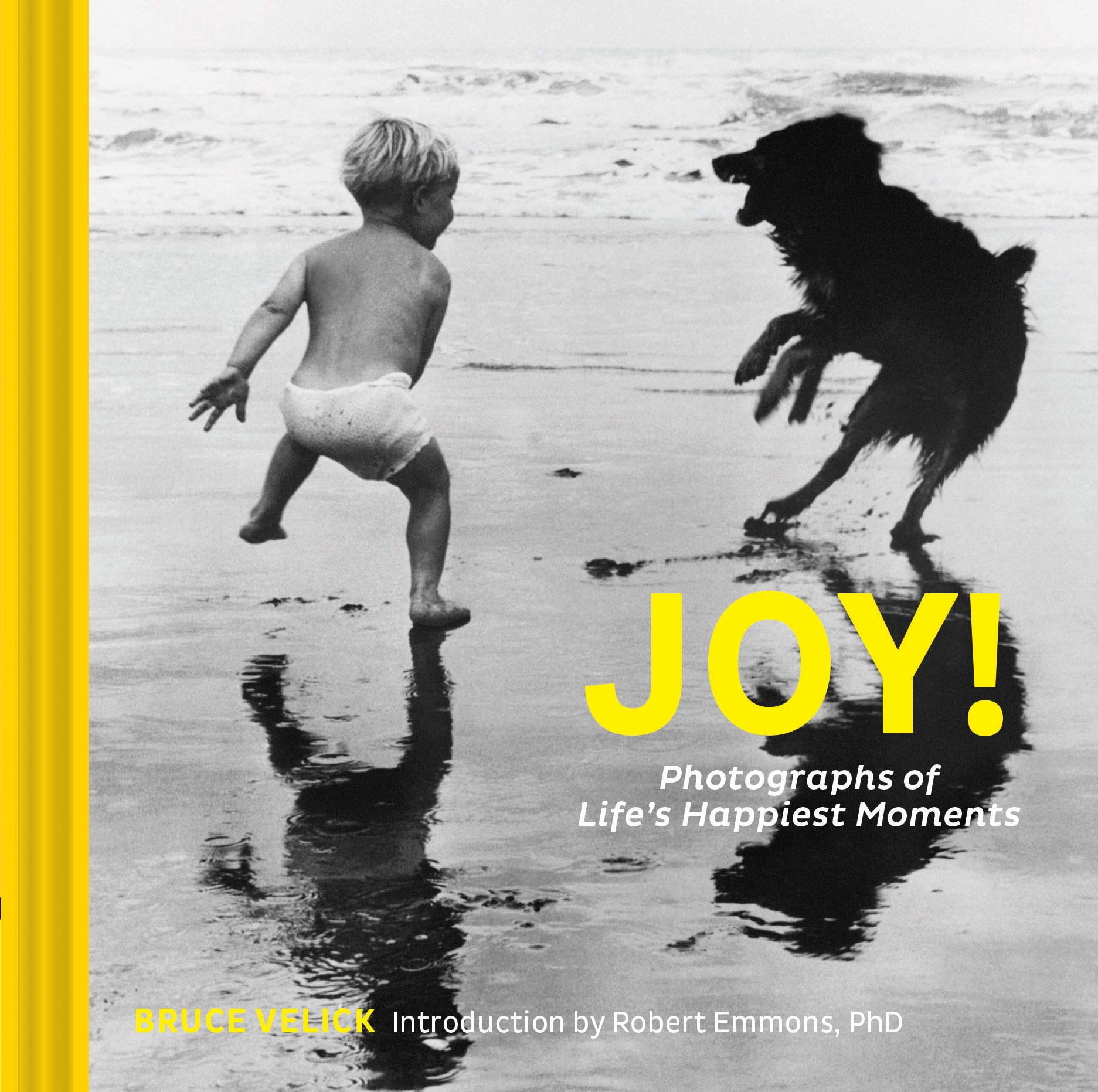 Joy!: Photographs Of Life'S Happiest Moments