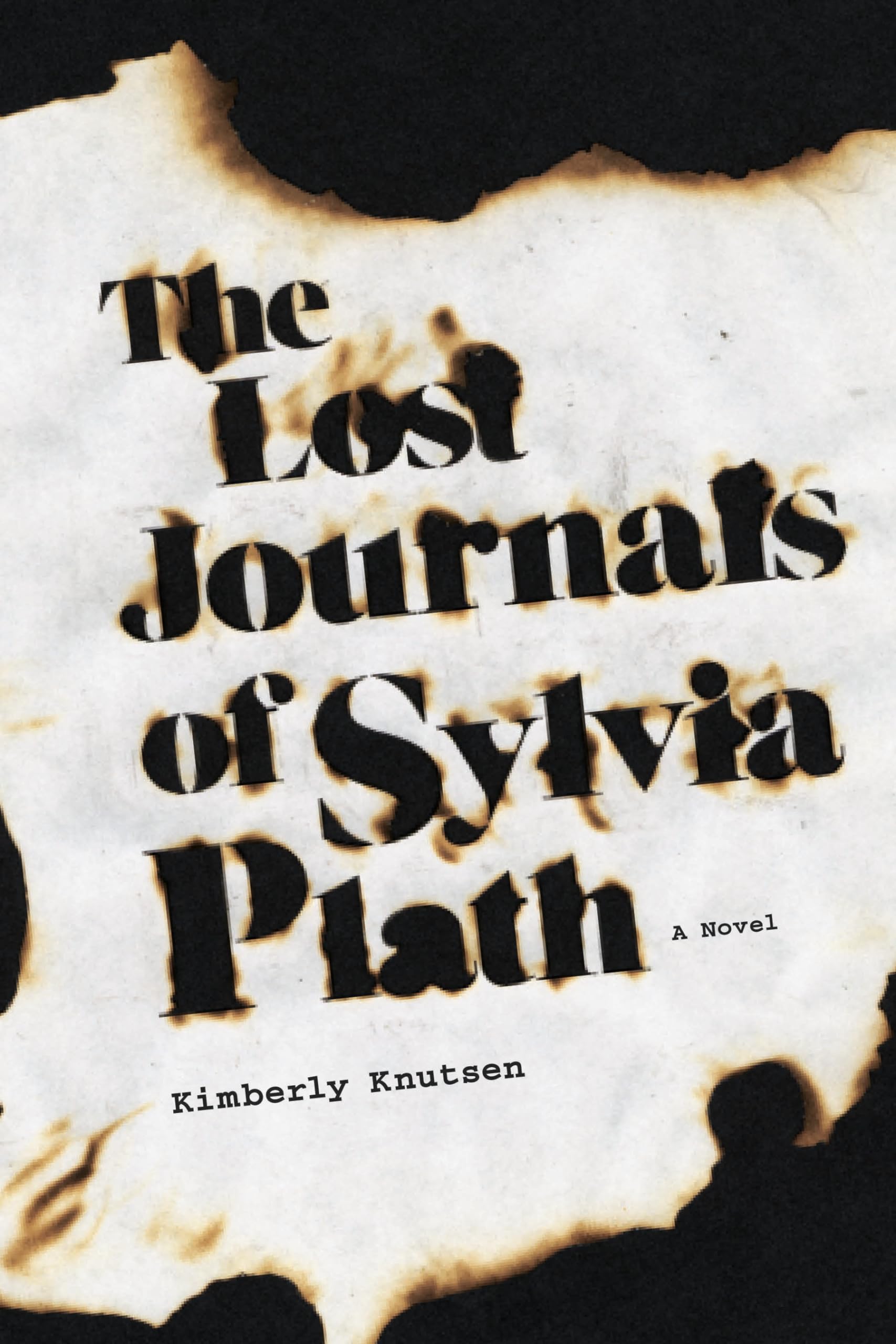 The Lost Journals of Sylvia Plath: A Novel (Switchgrass Books),Used