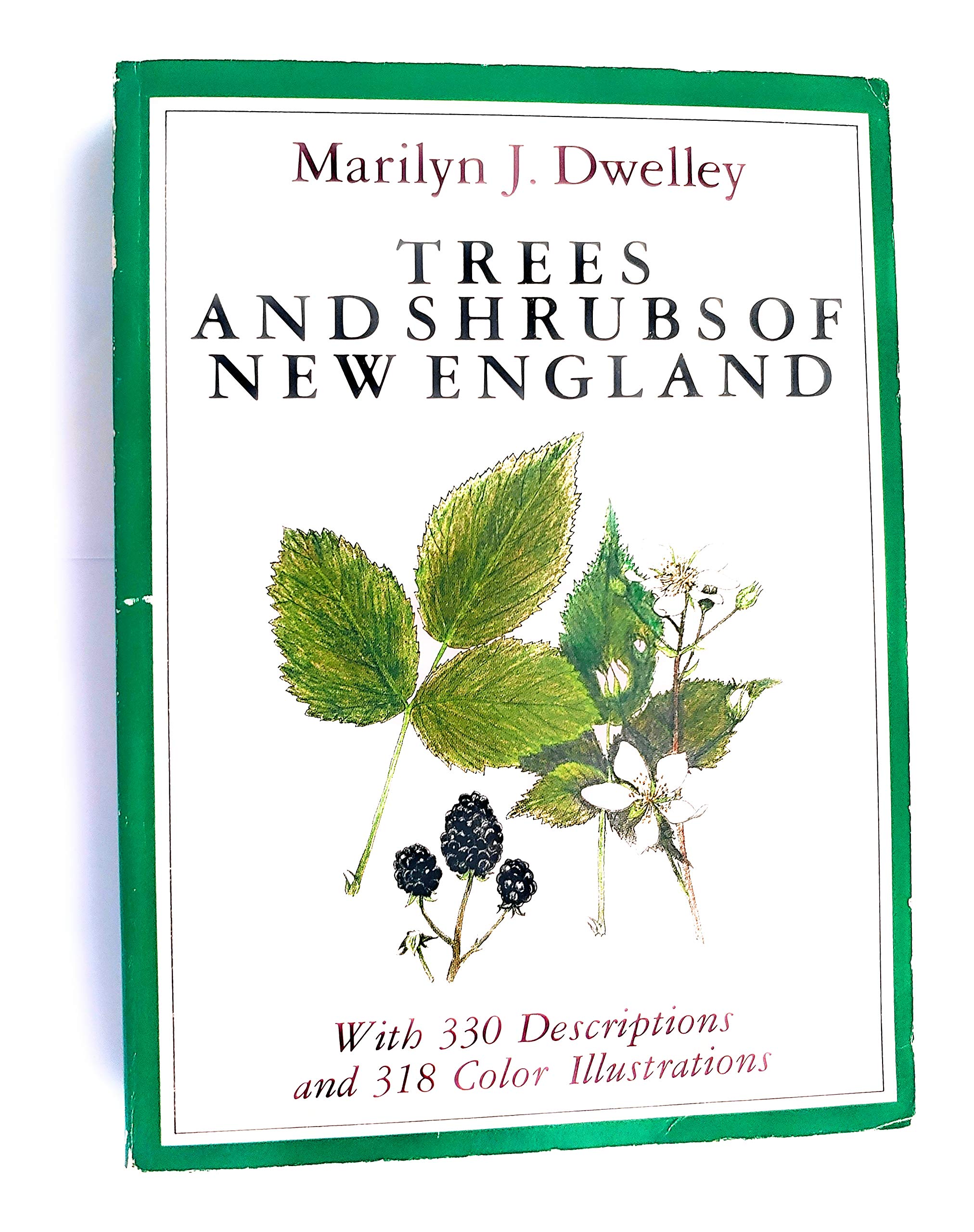 Trees And Shrubs Of New England