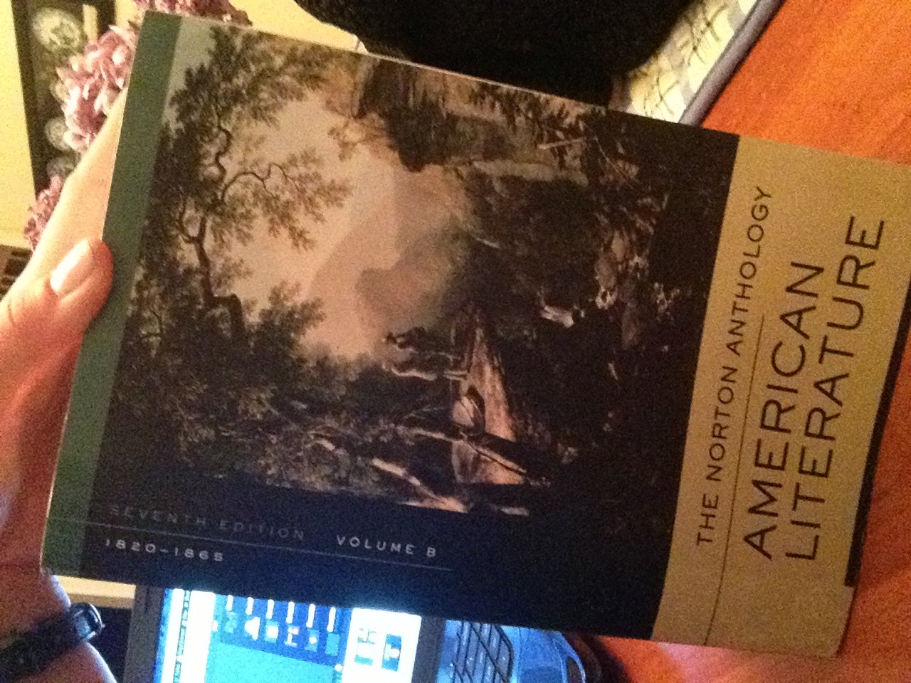 The Norton Anthology of American Literature: A & B,New