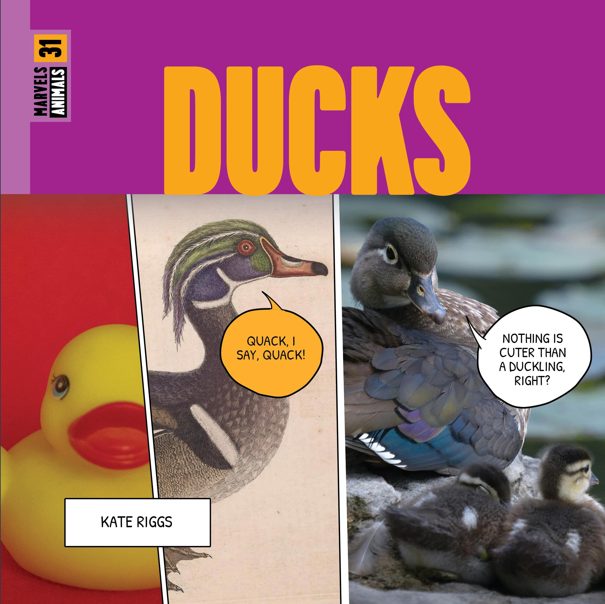 Ducks