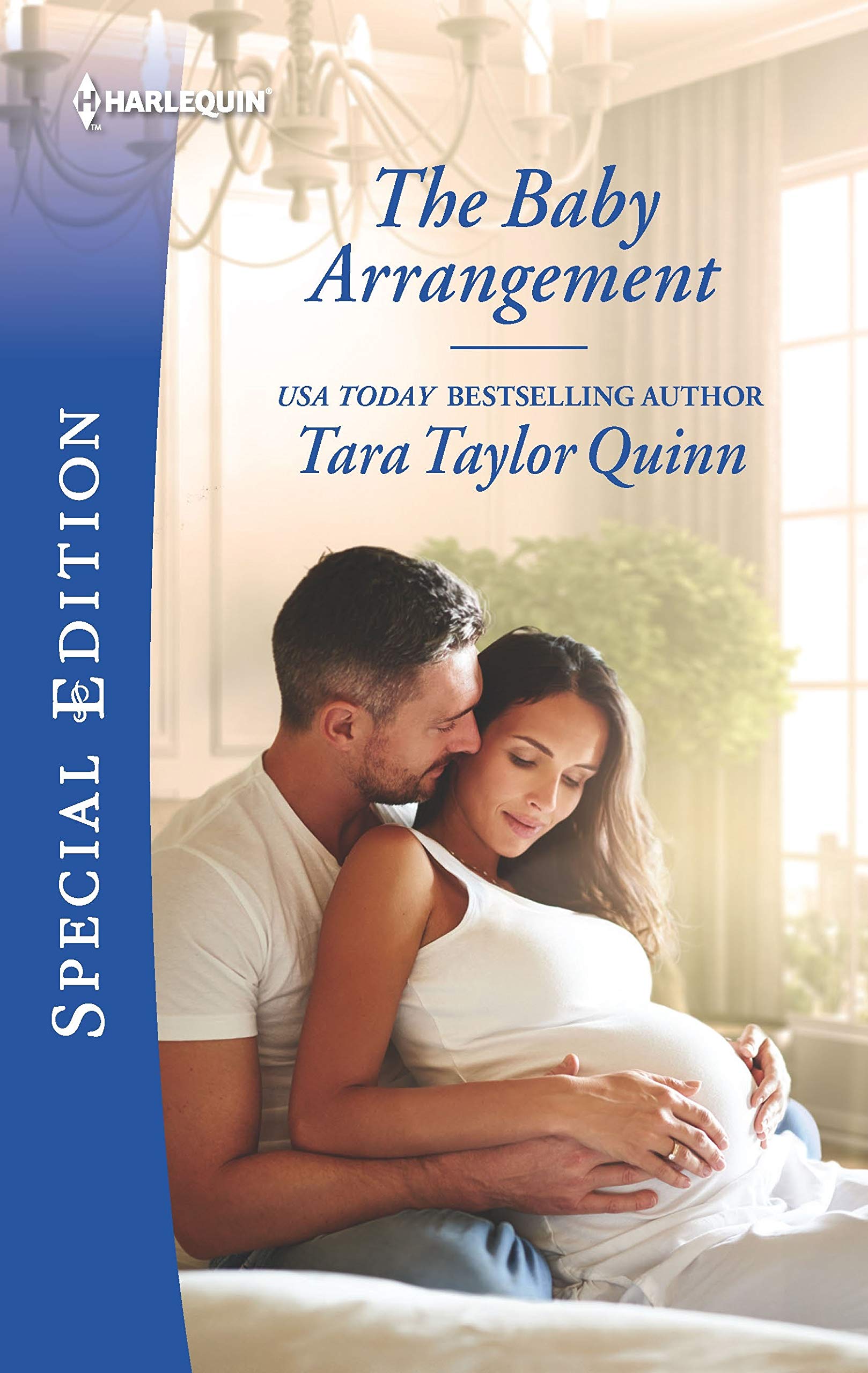 The Baby Arrangement (The Daycare Chronicles, 3),Used