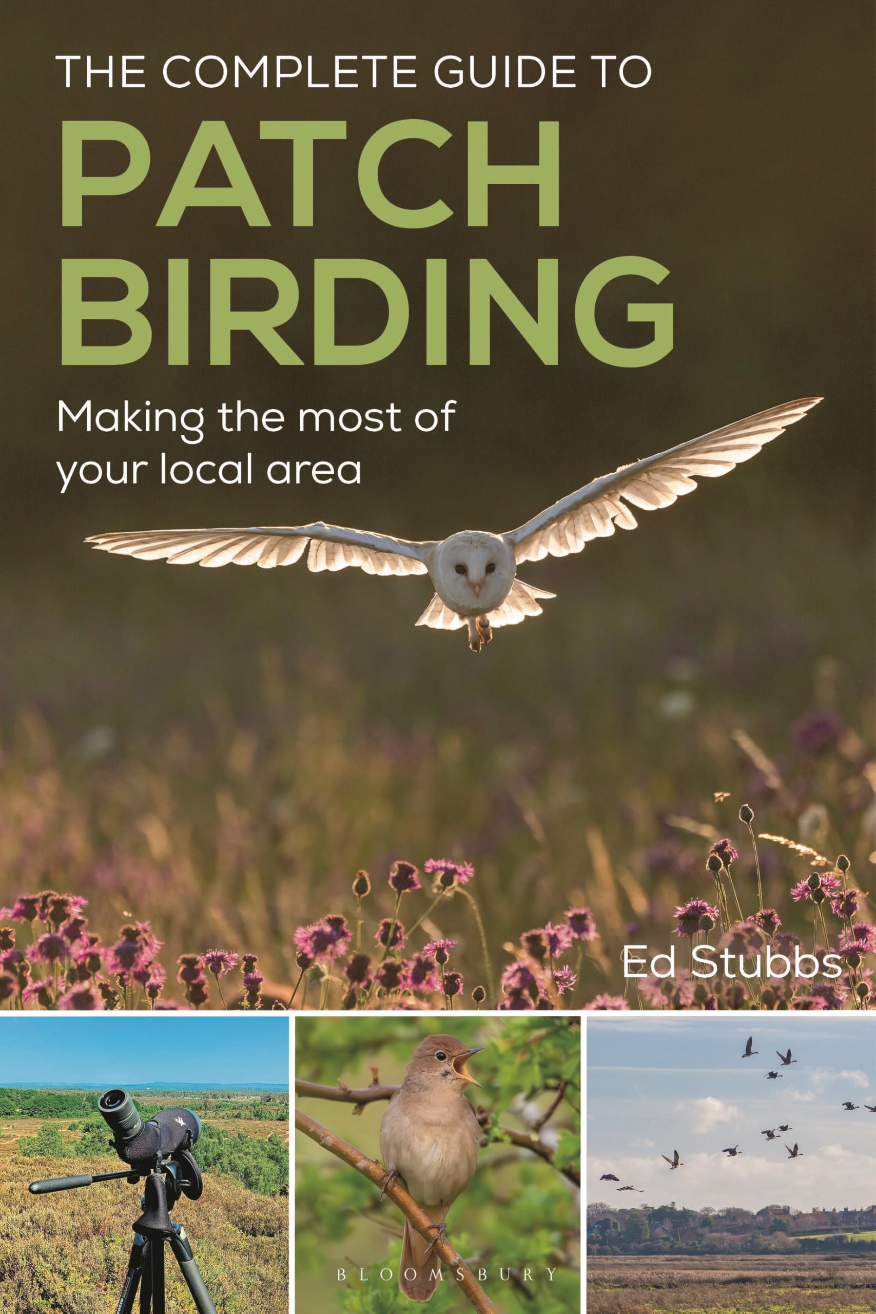 The Complete Guide To Patch Birding: Making The Most Of Your Local Area