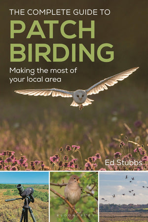 The Complete Guide To Patch Birding: Making The Most Of Your Local Area
