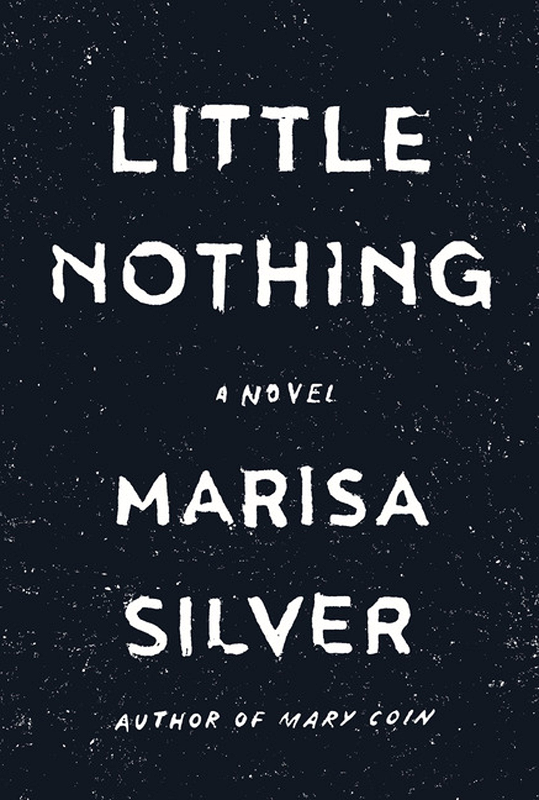 Little Nothing (Thorndike Press Large Print Core),Used