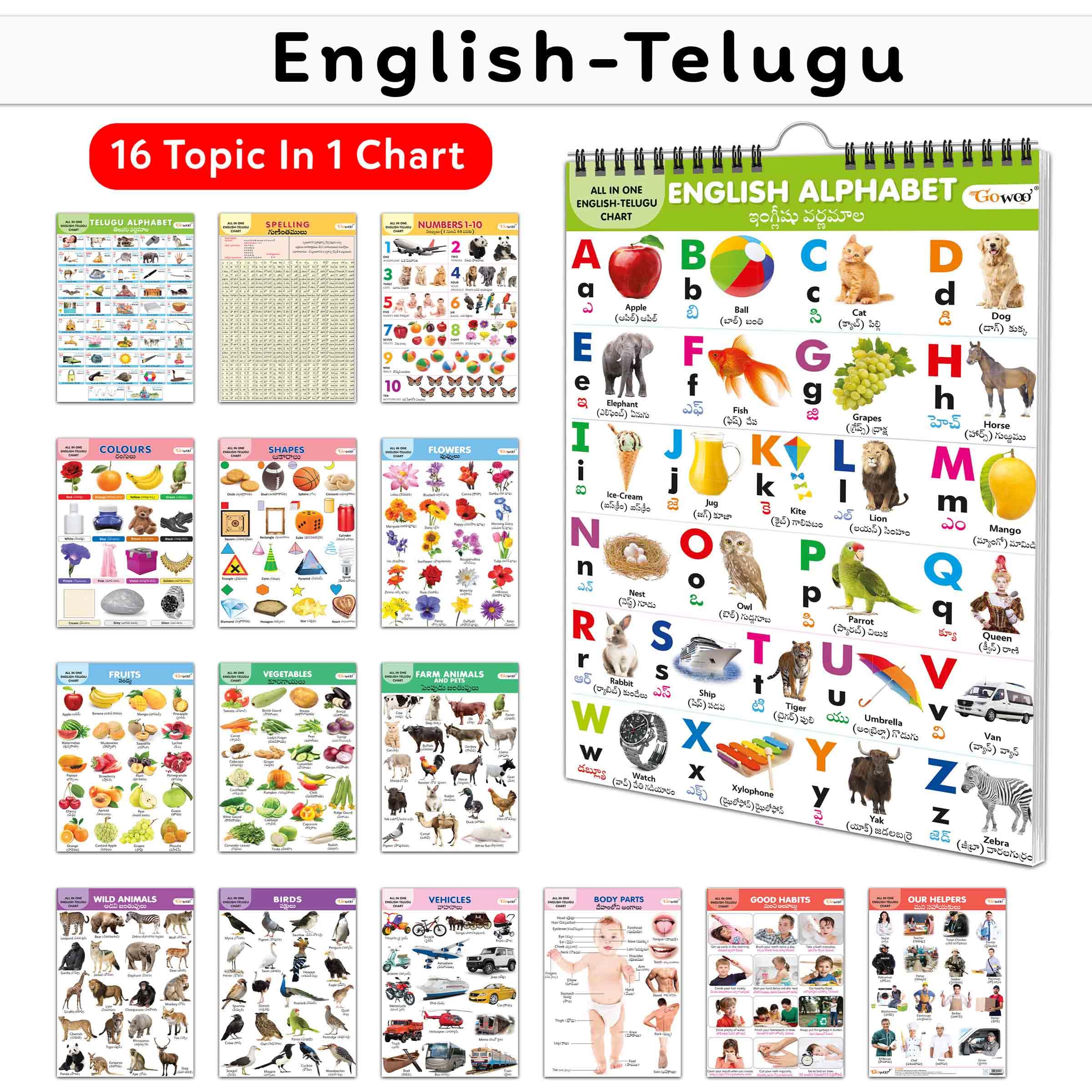 Toddlers Learning Library : Learning Chart For Kids, My First All In One Spiral Chart English-Telugu With 16 Topics, Birthday Gifts For Toddler