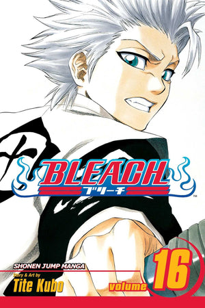 Bleach, Vol. 16,New