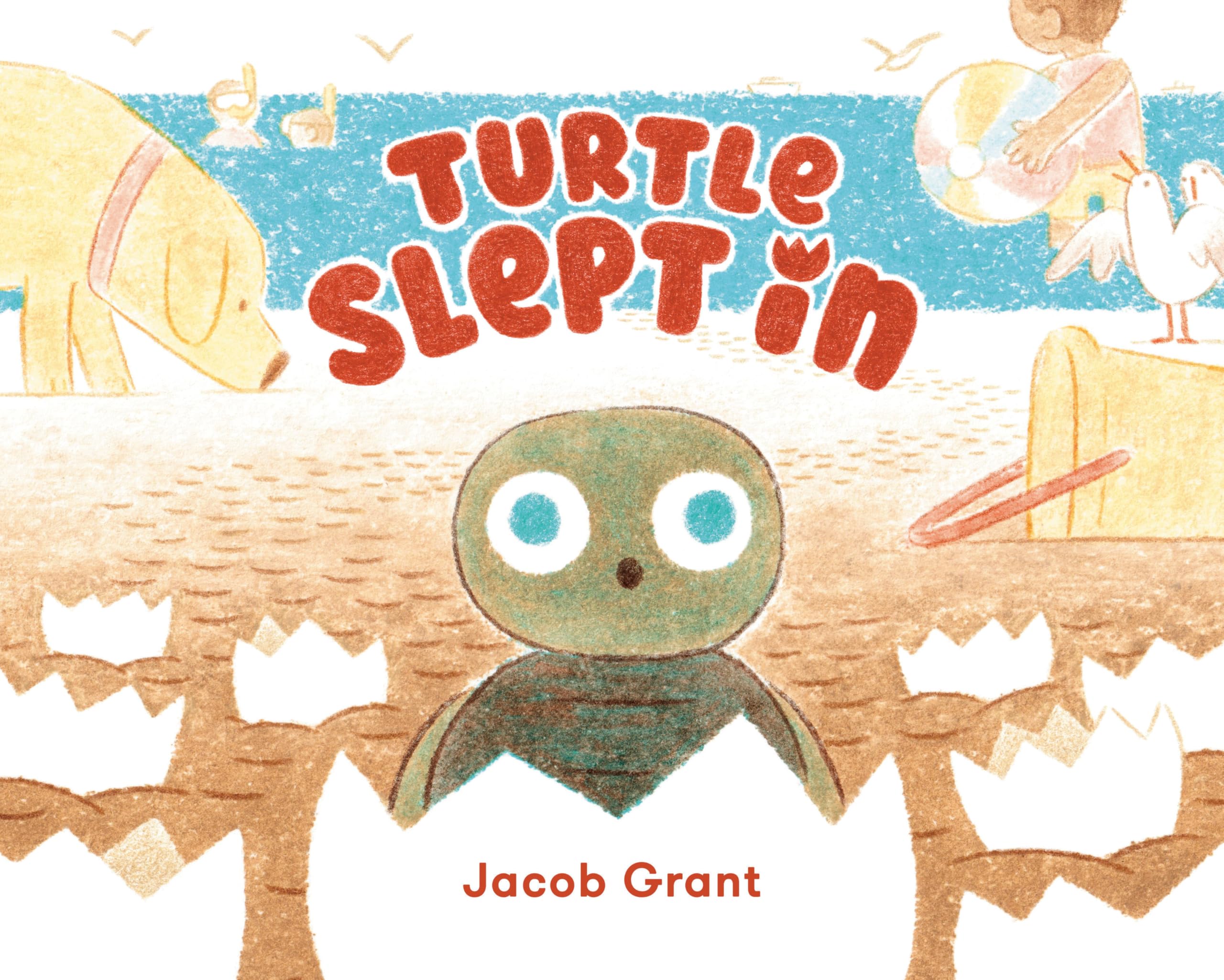 Turtle Slept In