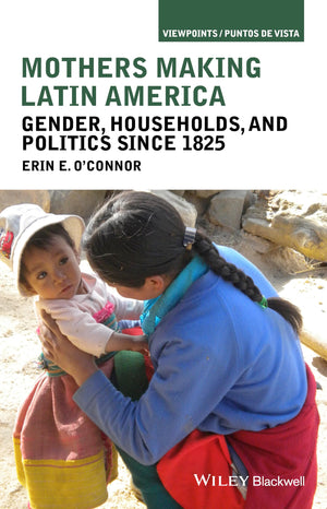 Mothers Making Latin America: Gender, Households, and Politics Since 1825 (Viewpoints / Puntos de Vista),Used
