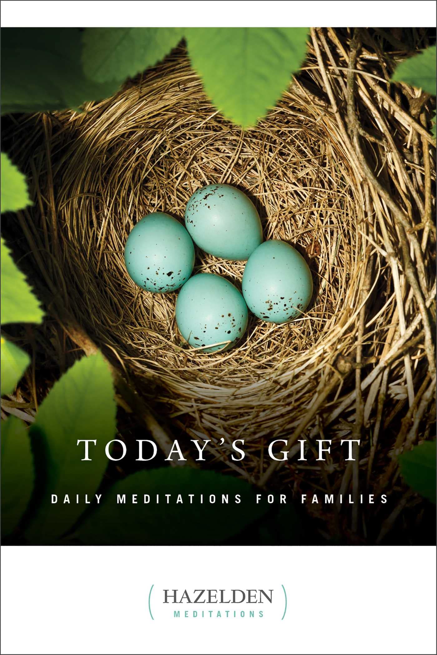 Today's Gift: Daily Meditations for Families (Hazelden Meditations),Used