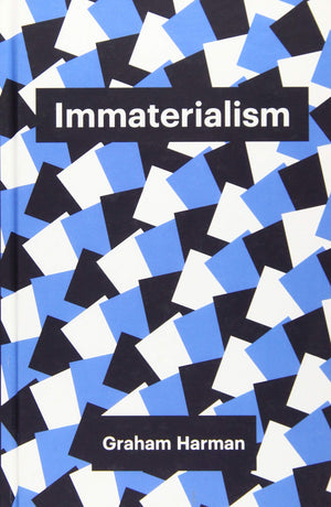 Immaterialism: Objects and Social Theory (Theory Redux),Used