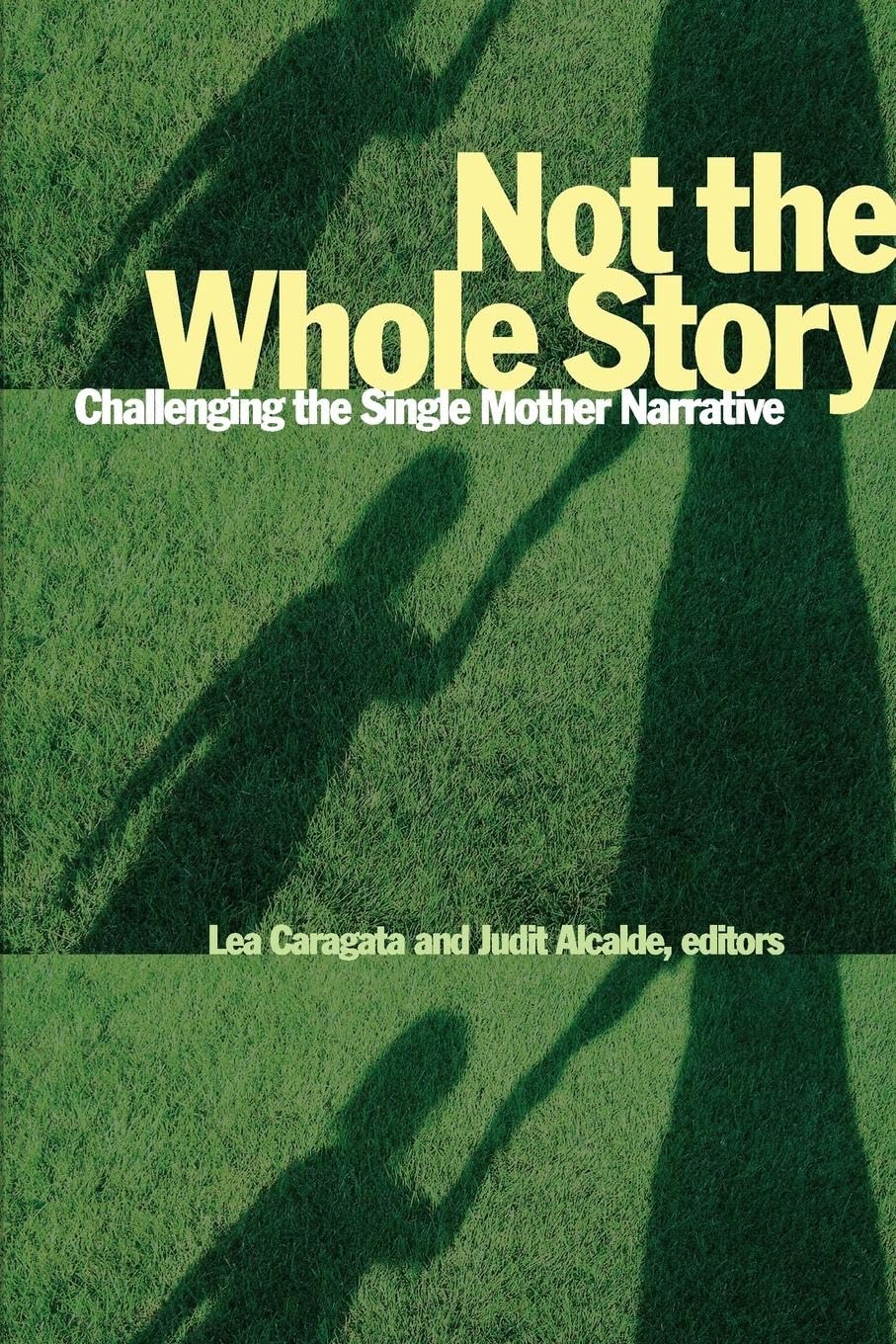 Not The Whole Story: Challenging The Single Mother Narrative (Life Writing, 51),Used