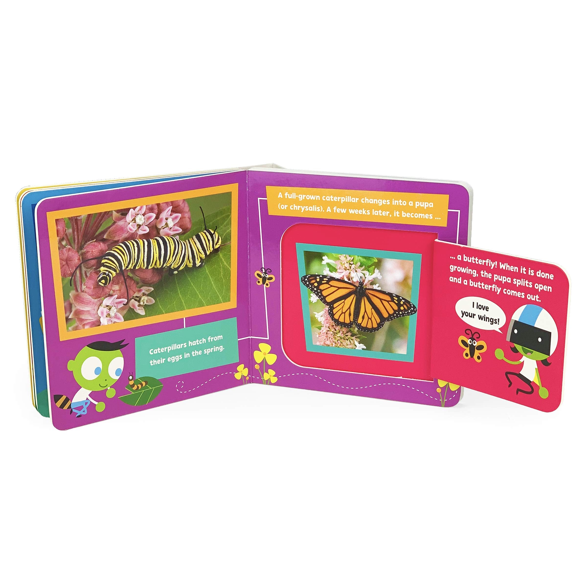 Bugs and Insects! A PBS Kids LiftaFlap Board Book for Babies and Toddlers, Ages 14 (Pbs Kids Chunky Liftaflap Board Book)