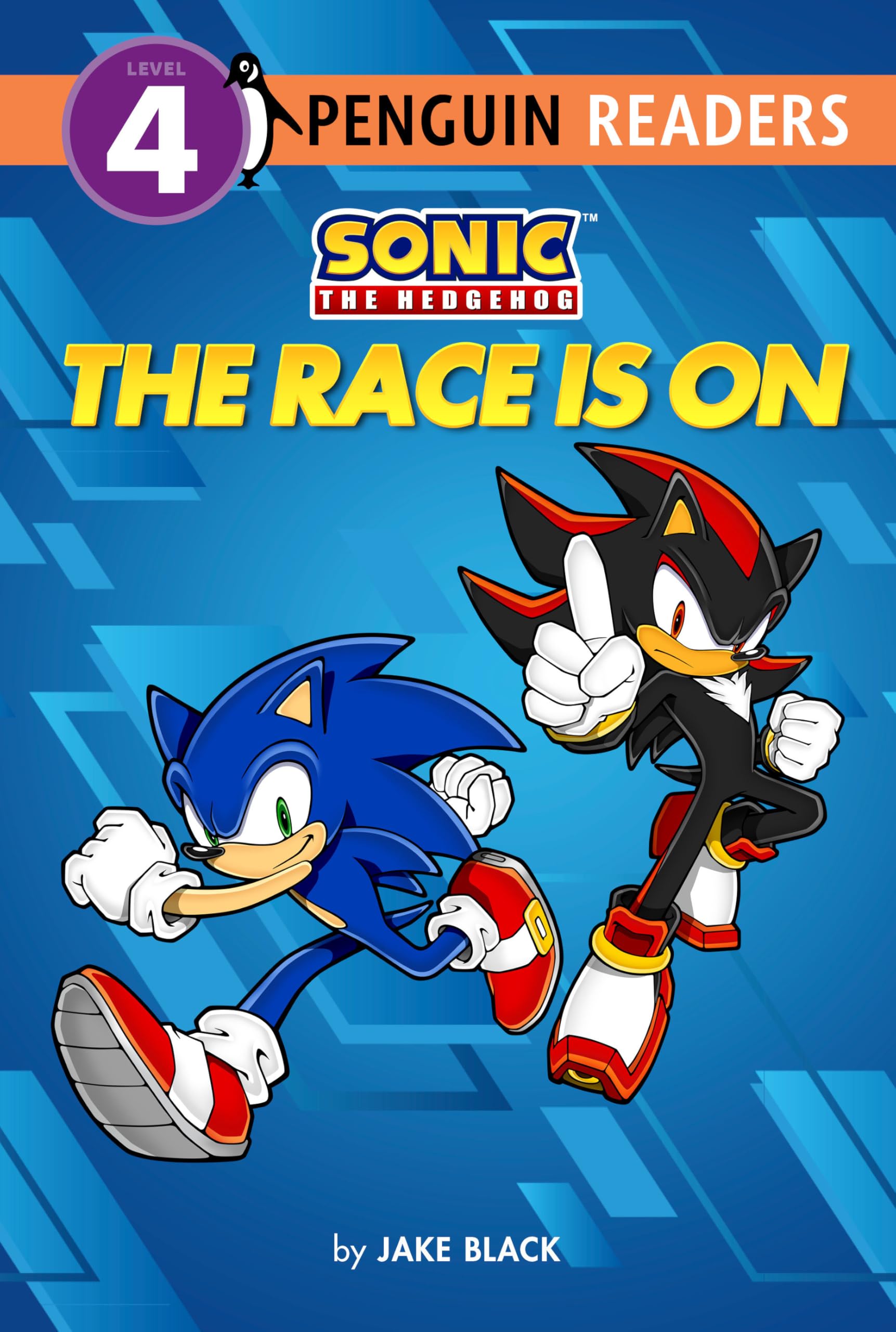 Sonic The Hedgehog: The Race Is On