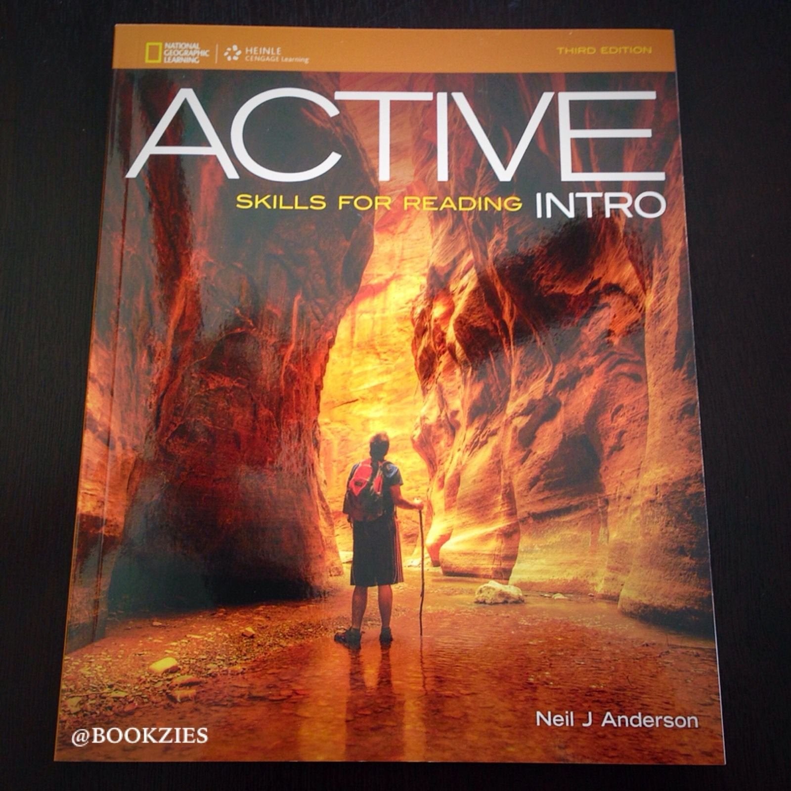 ACTIVE Skills for Reading Intro,Used
