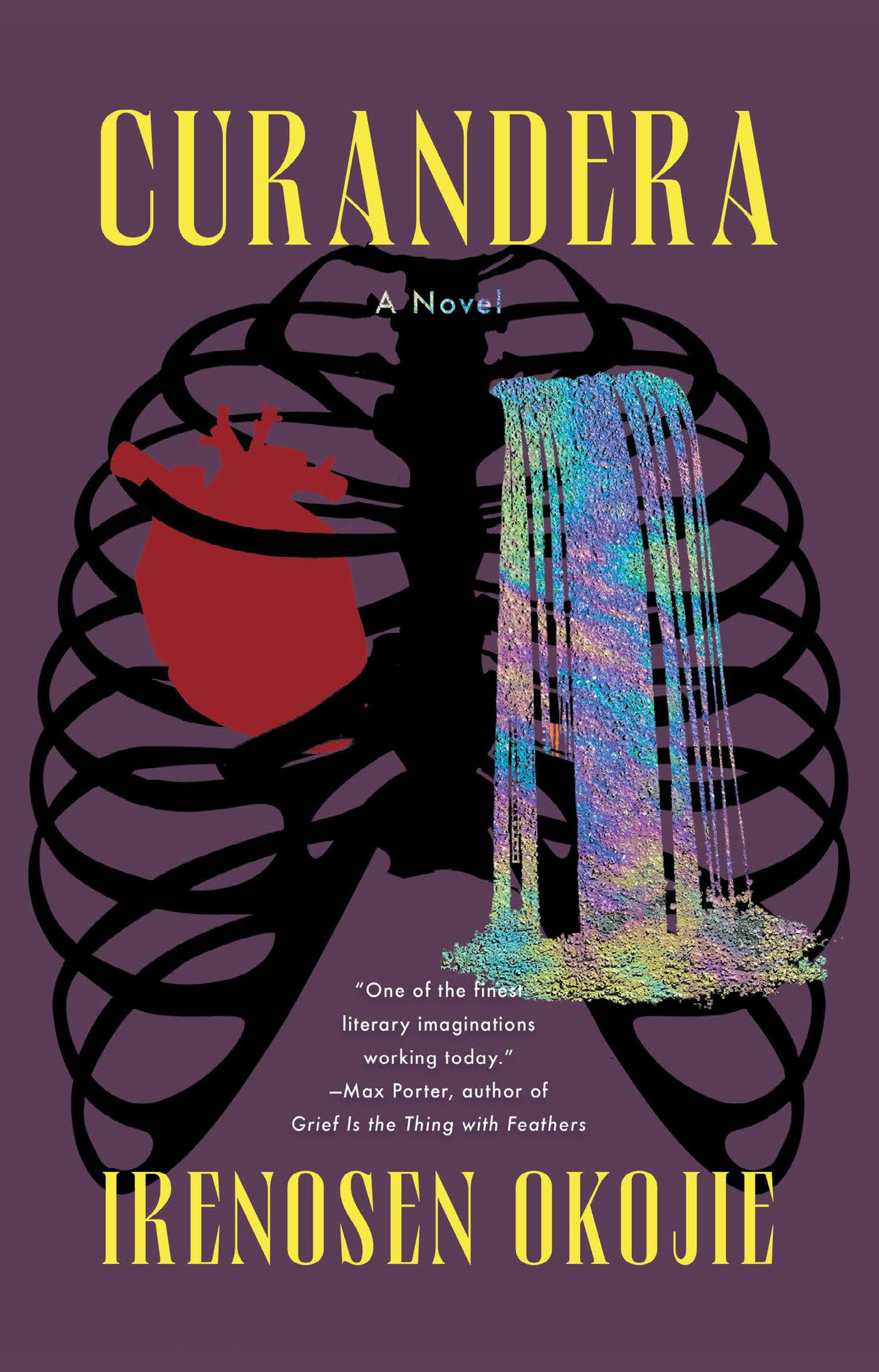 Curandera: A Novel