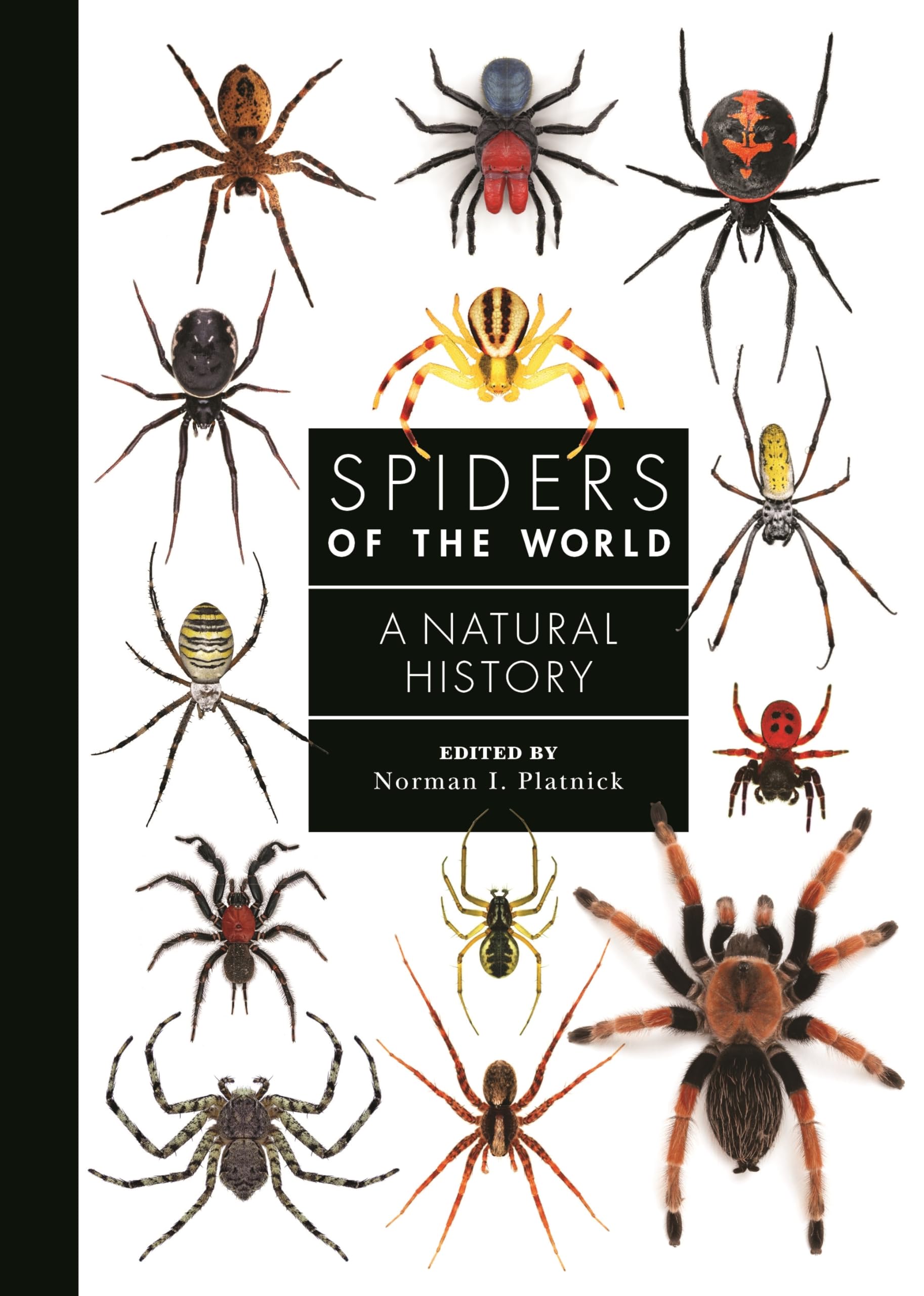 Spiders of the World: A Natural History (A Guide to Every Family)