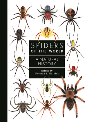 Spiders of the World: A Natural History (A Guide to Every Family)